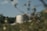 A large industrial tank stands in a natural setting surrounded by trees and foliage. The tank is cylindrical with a metallic finish, and there is a staircase leading to its top. The foreground is slightly blurred with plants and branches, while the background shows a clear blue sky with a few clouds.