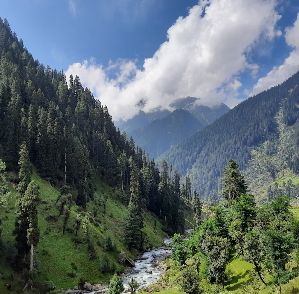 a river running through a valley with trees and mountains in the background