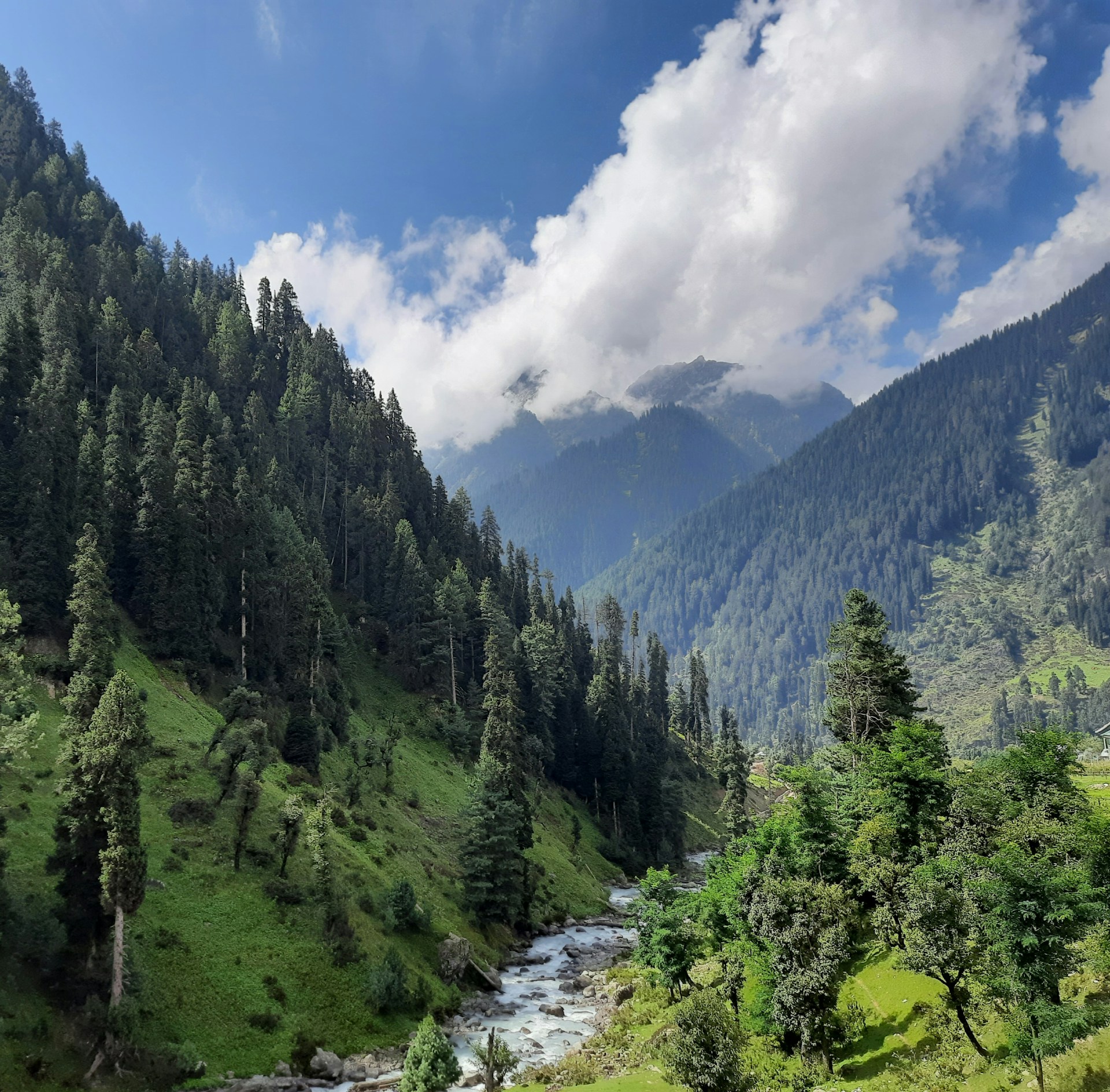 a river running through a valley with trees and mountains in the background