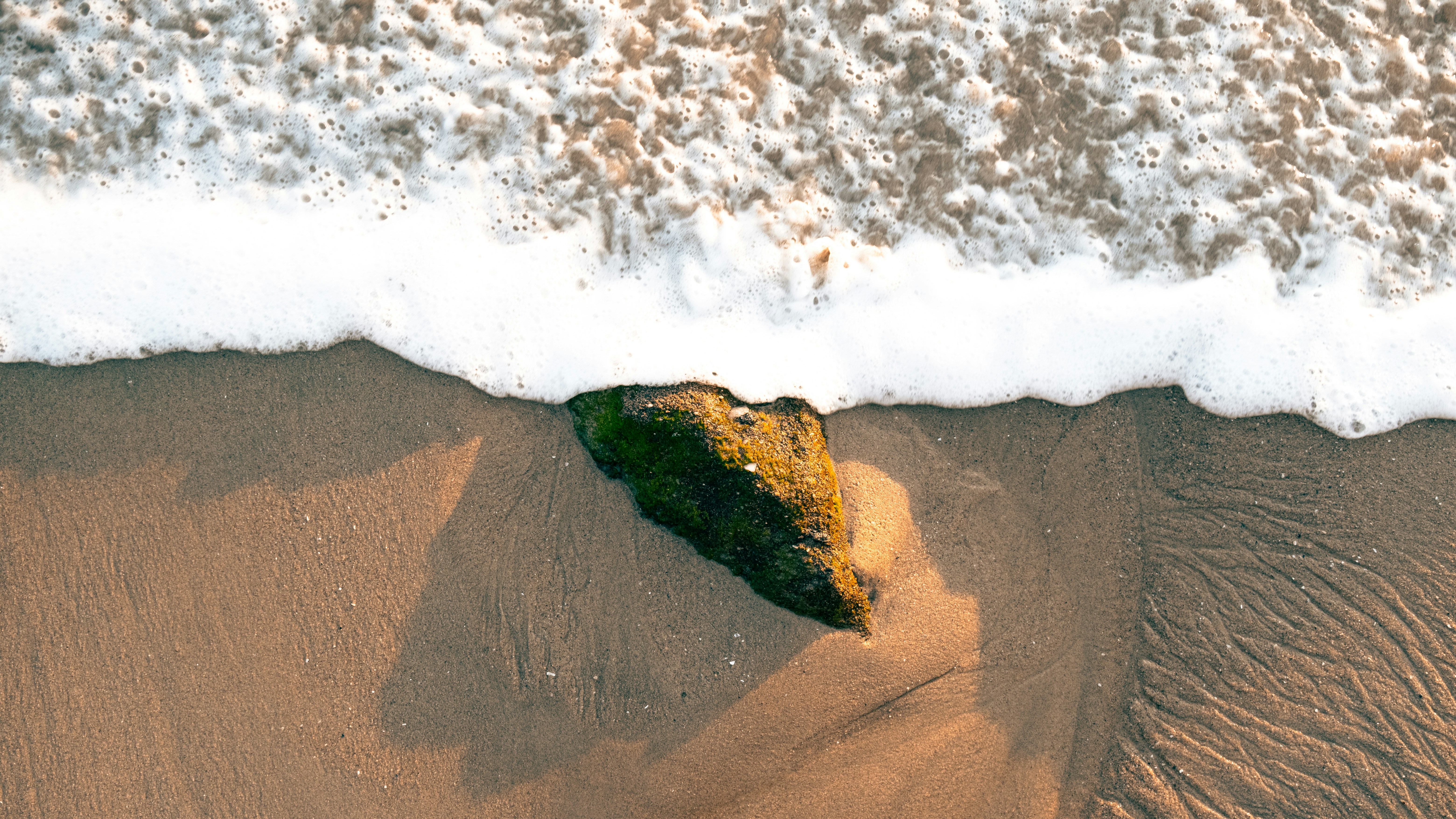 Photo by alimonajjemi