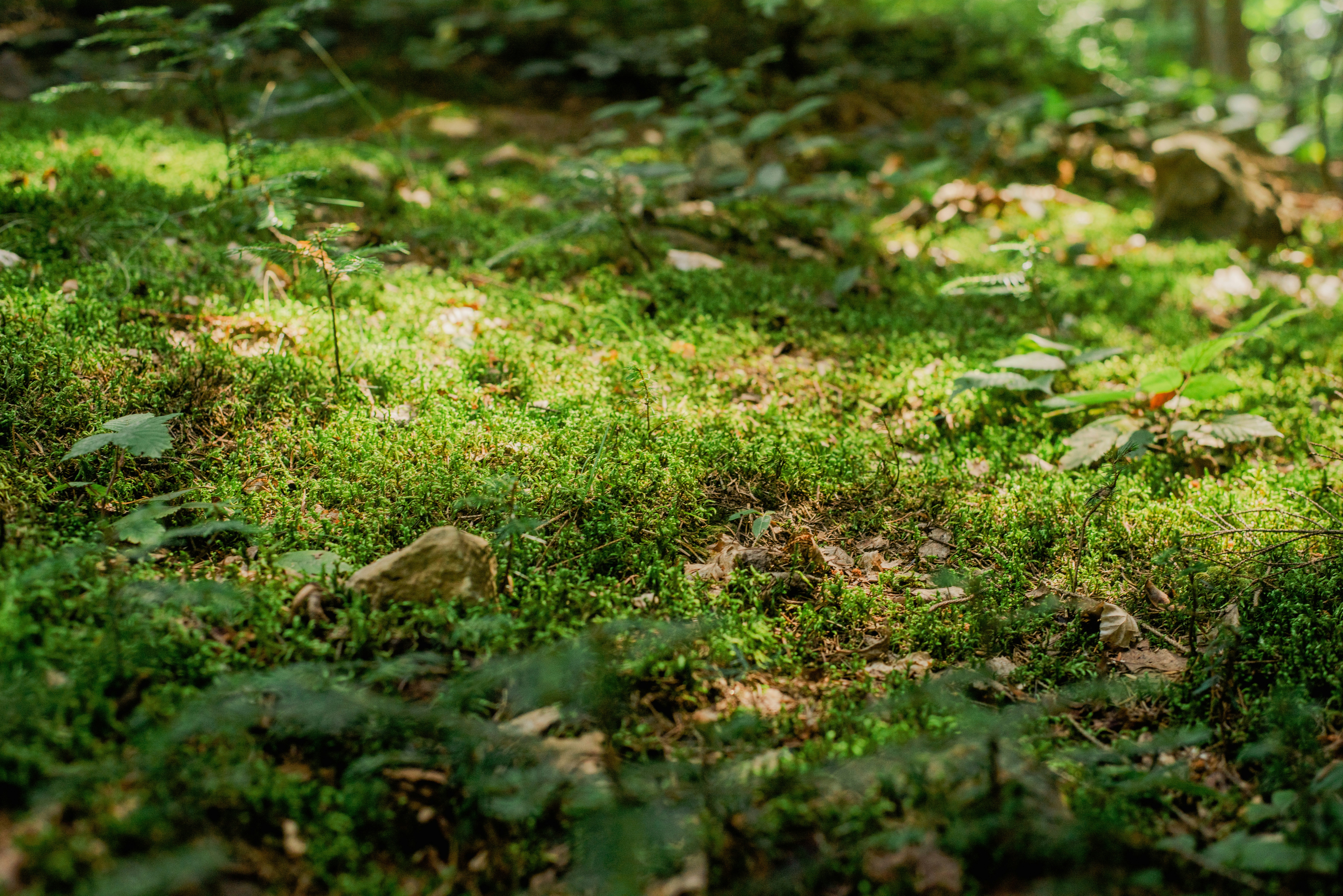 Photo by eugenivy_now