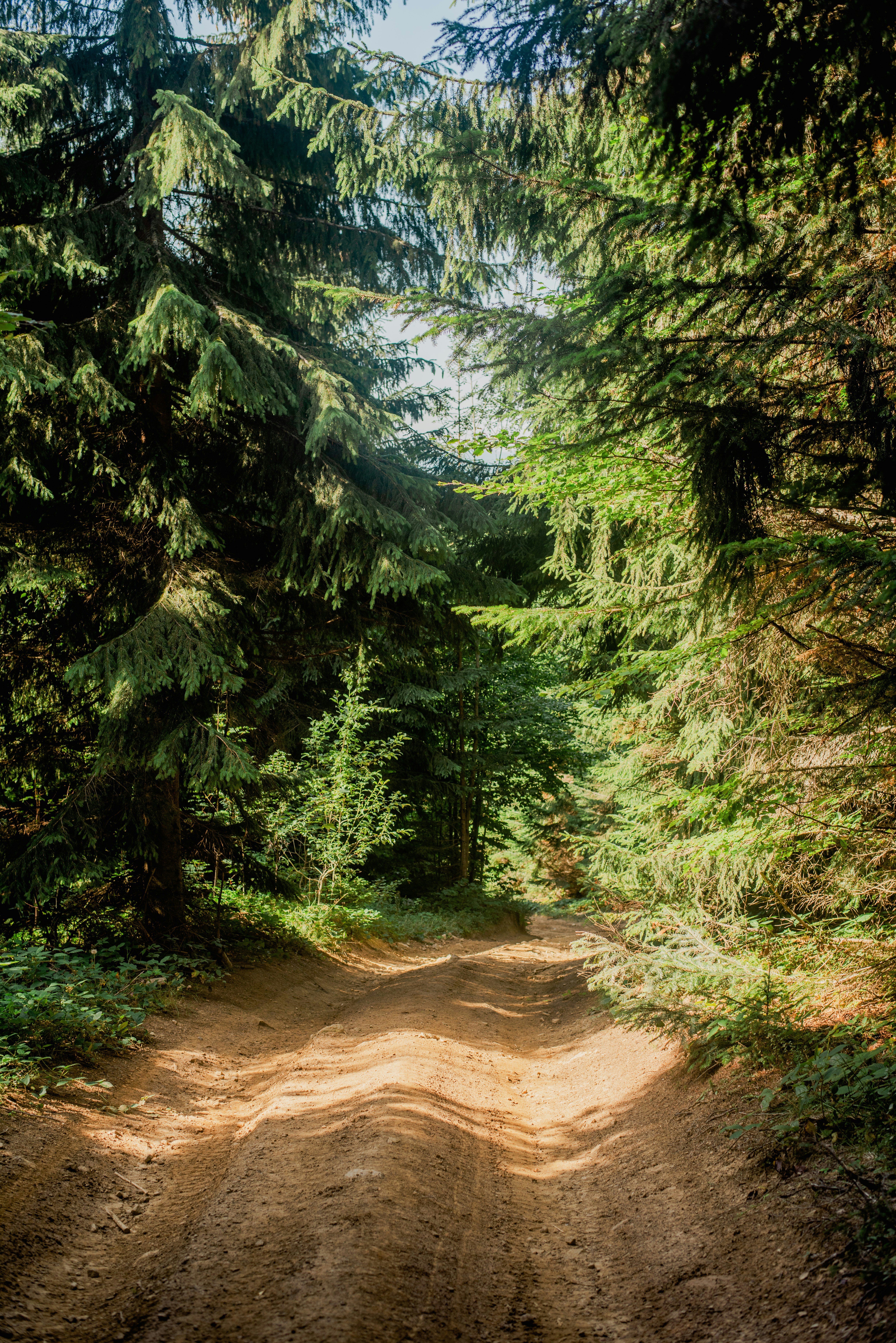 Photo by eugenivy_now