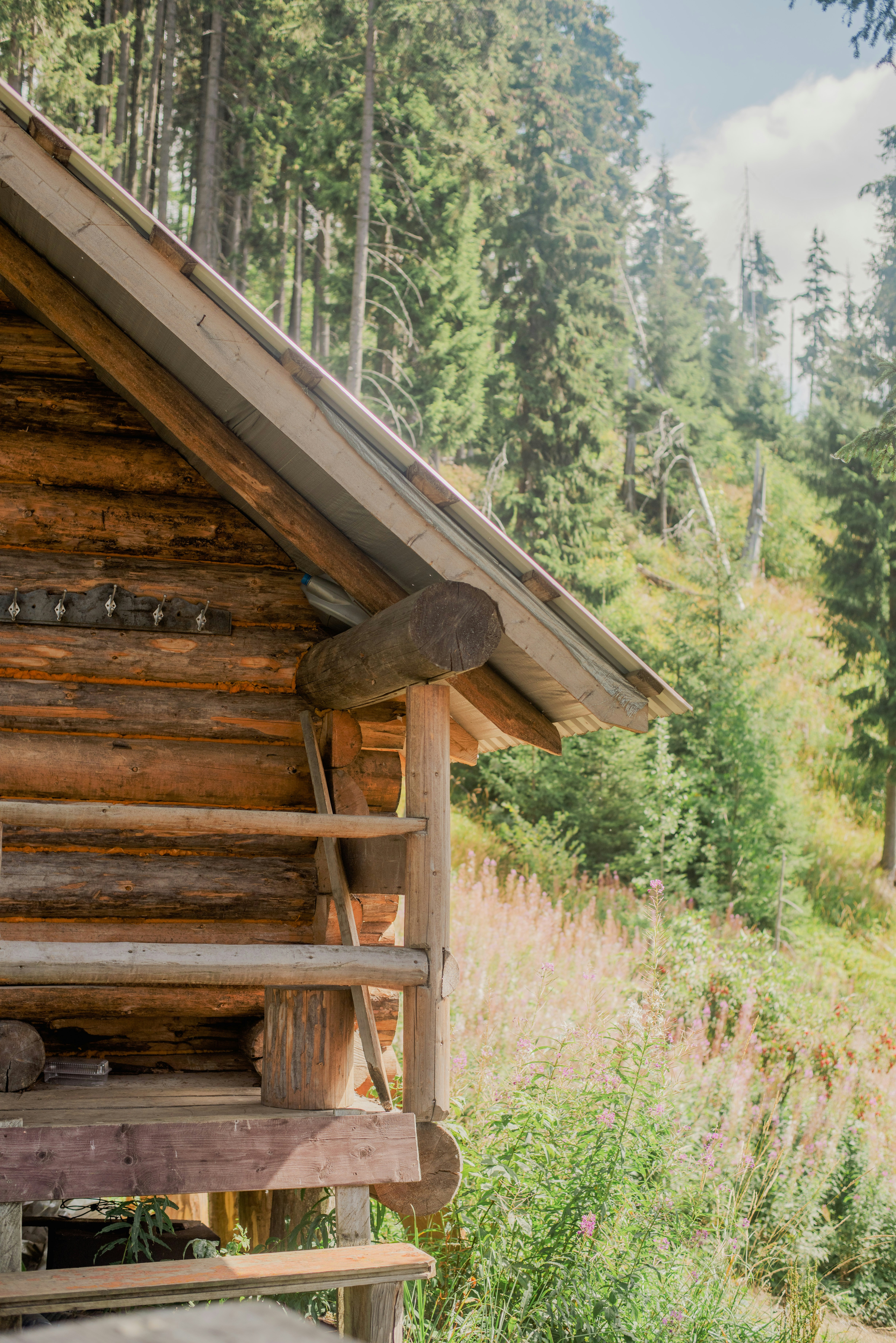 a wooden bridge over a stream