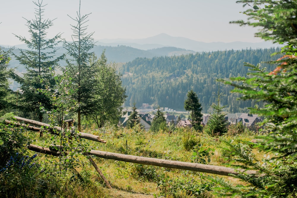 a fence in a wooded area