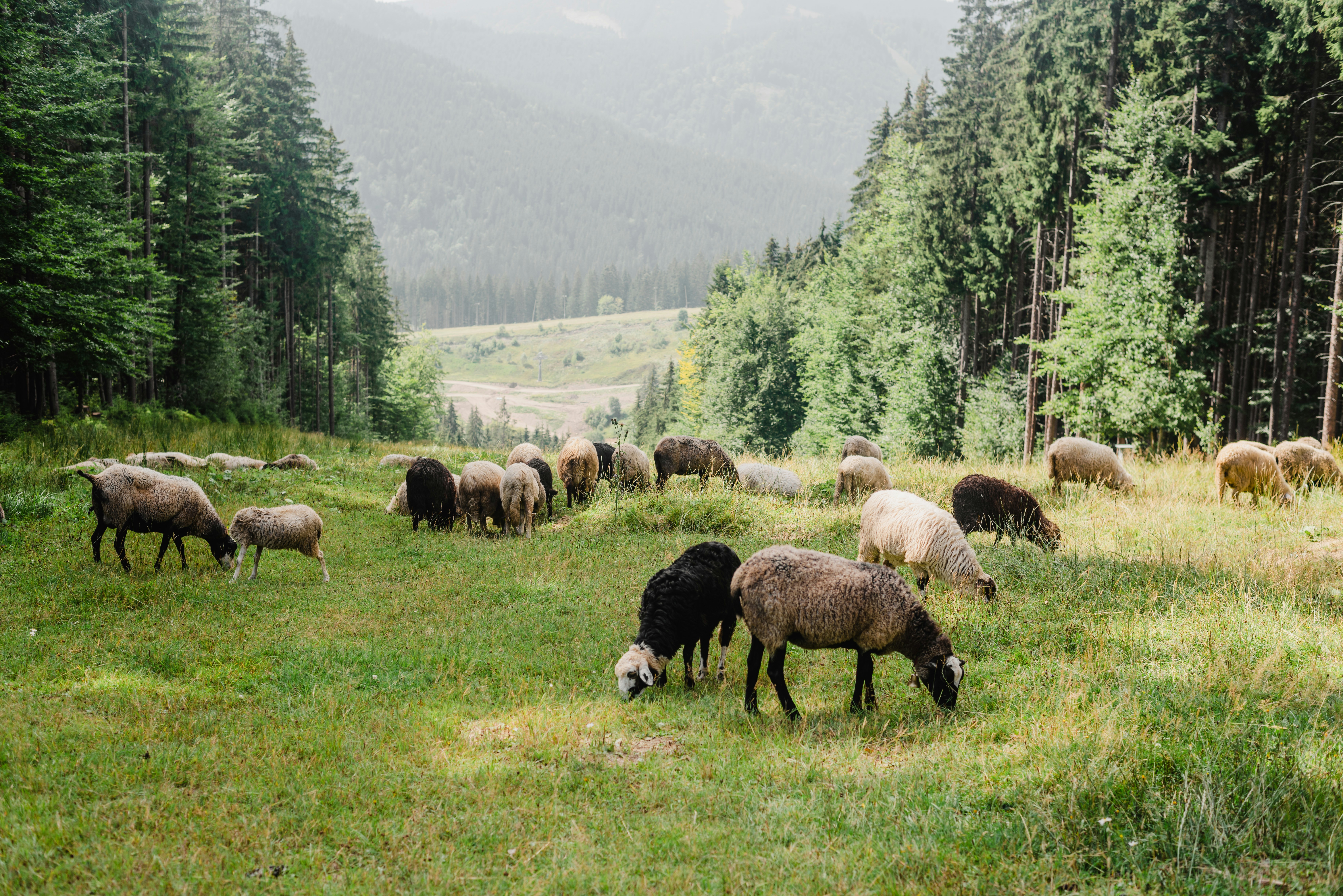 Photo by eugenivy_now