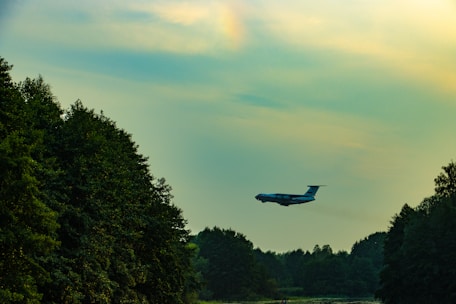 An airplane flying high over a forested landscape at sunset.