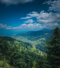 A scenic view of Bhim Band surrounded by lush greenery under a clear blue sky.