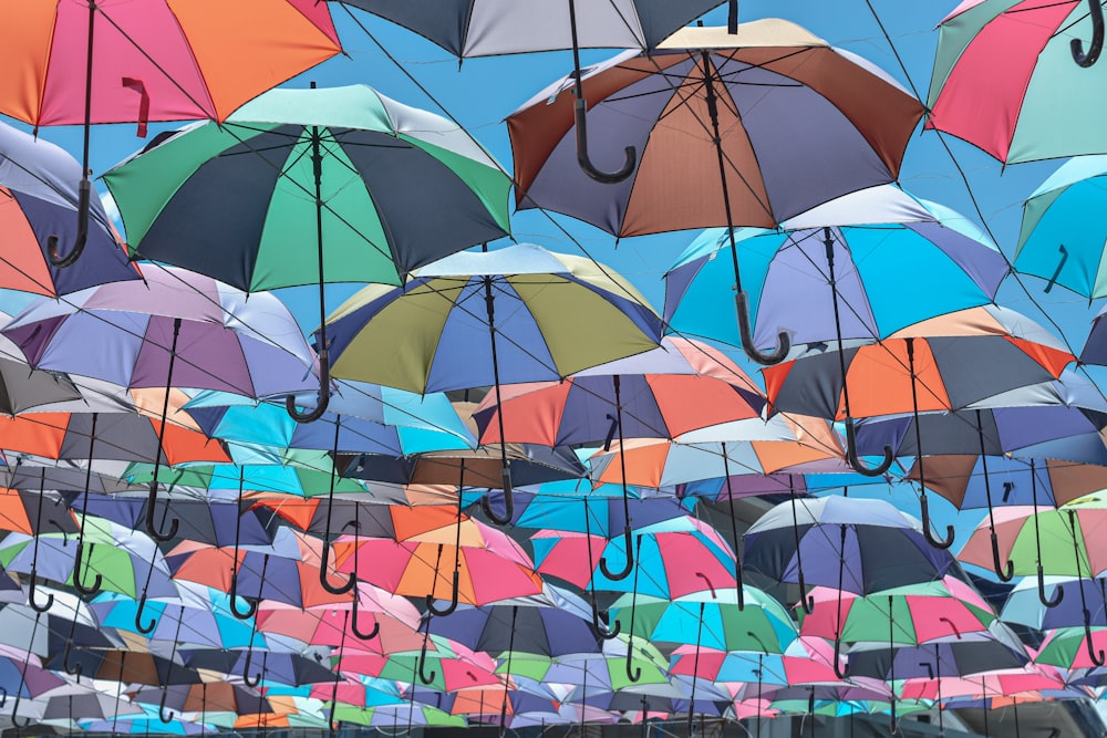 um grupo de guarda-chuvas coloridos