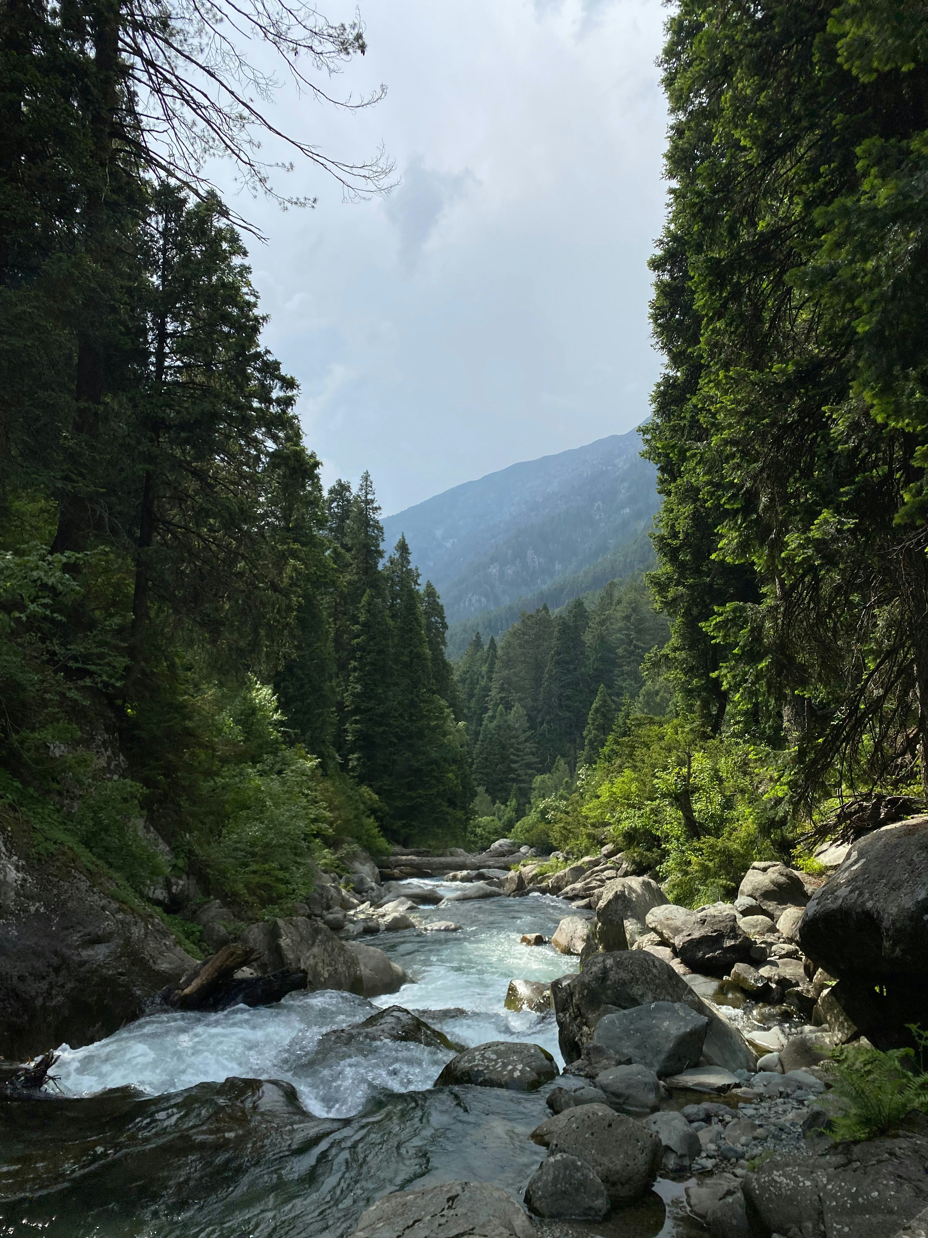 Photo by muneebmushtaq