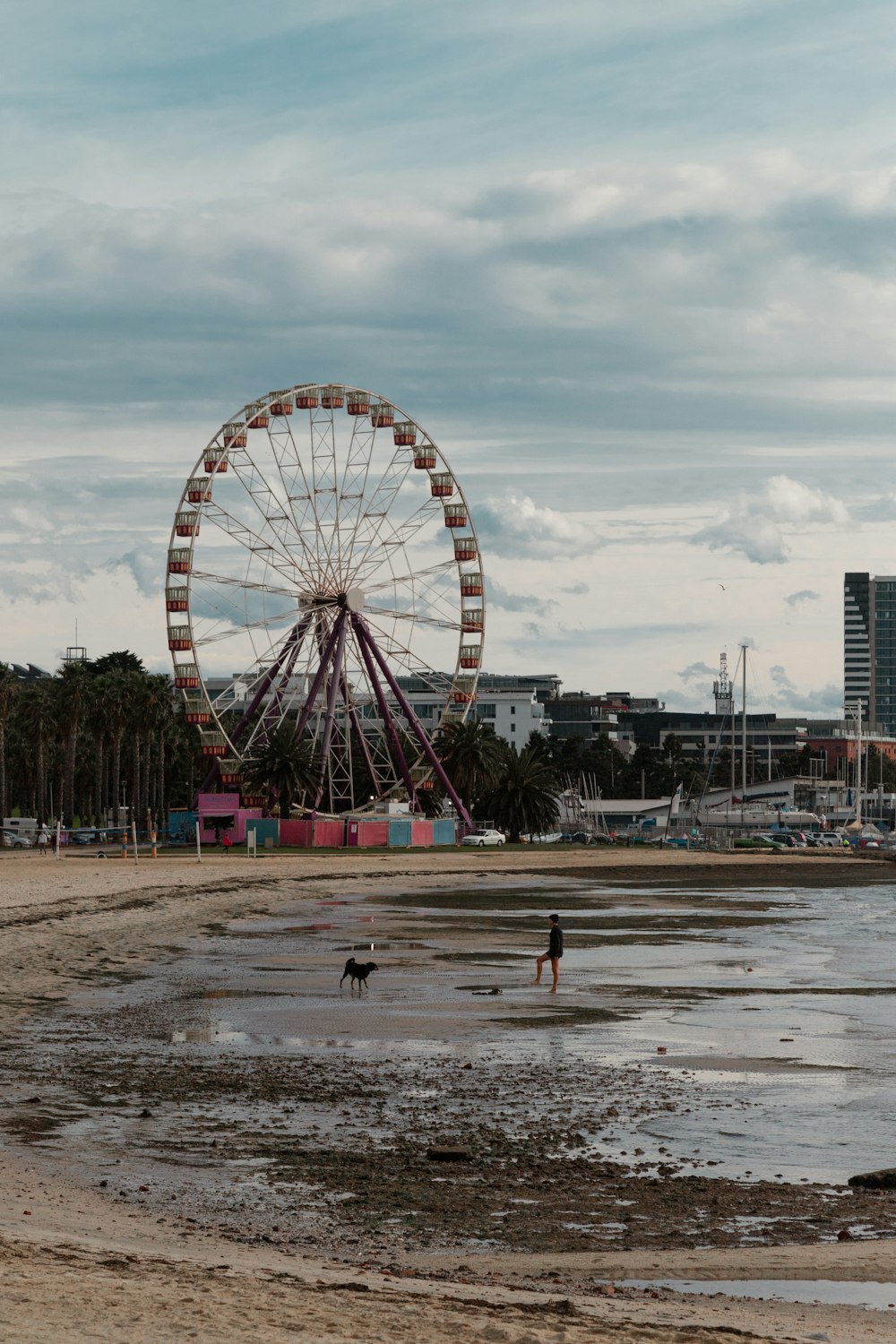 a ferris wheel in the distance