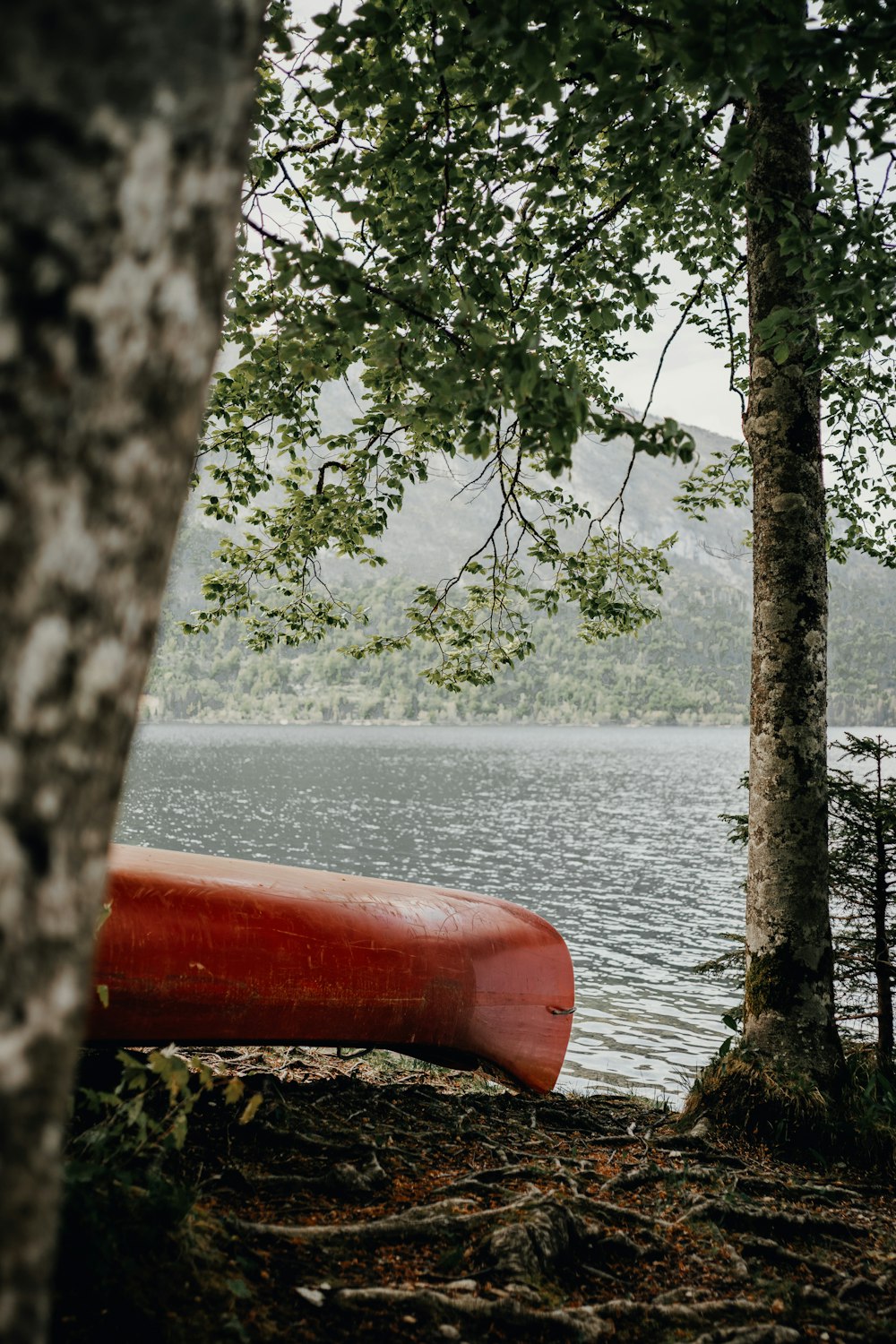 a red canoe on a lake