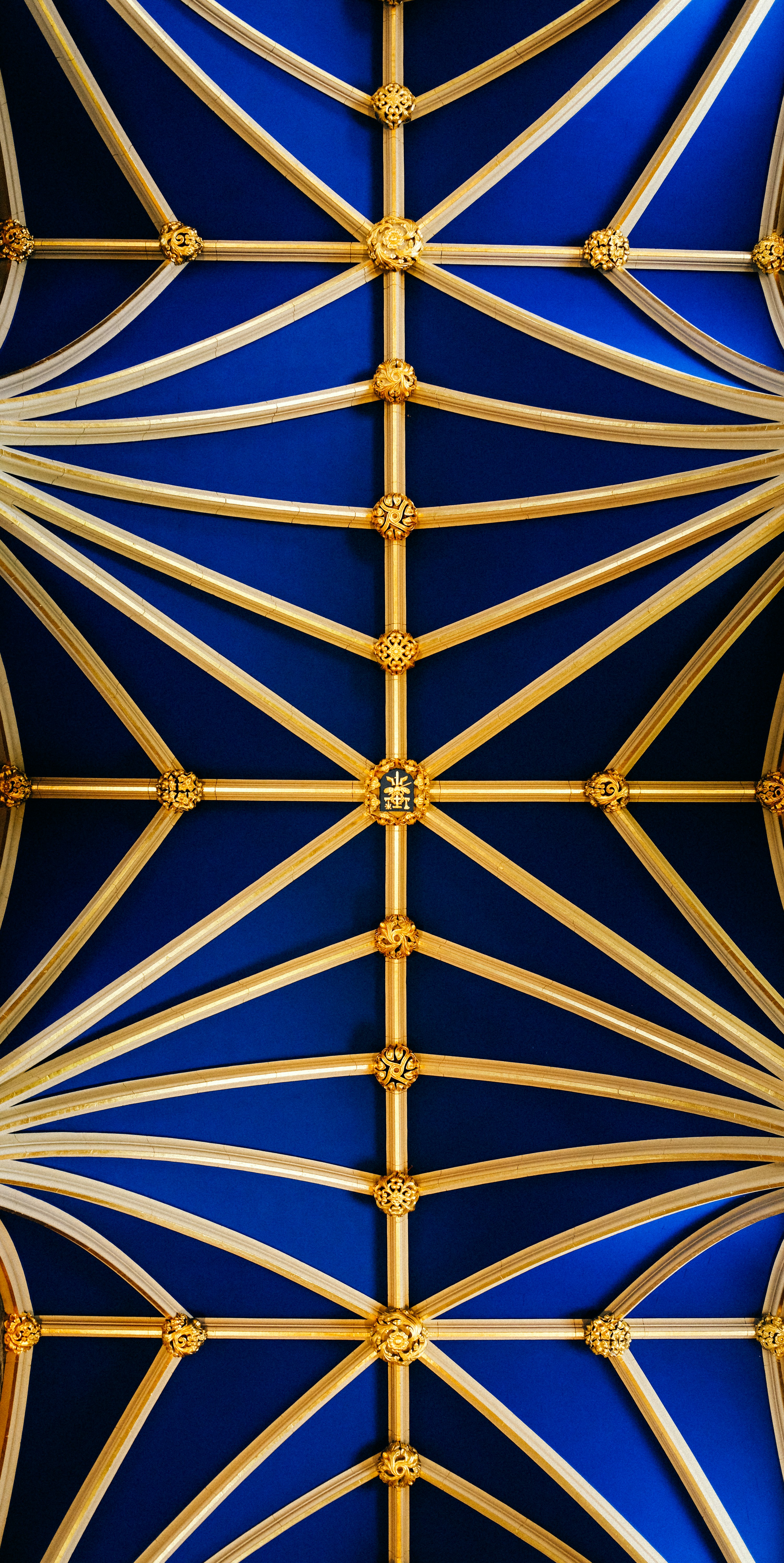 Photo by adrienolichon