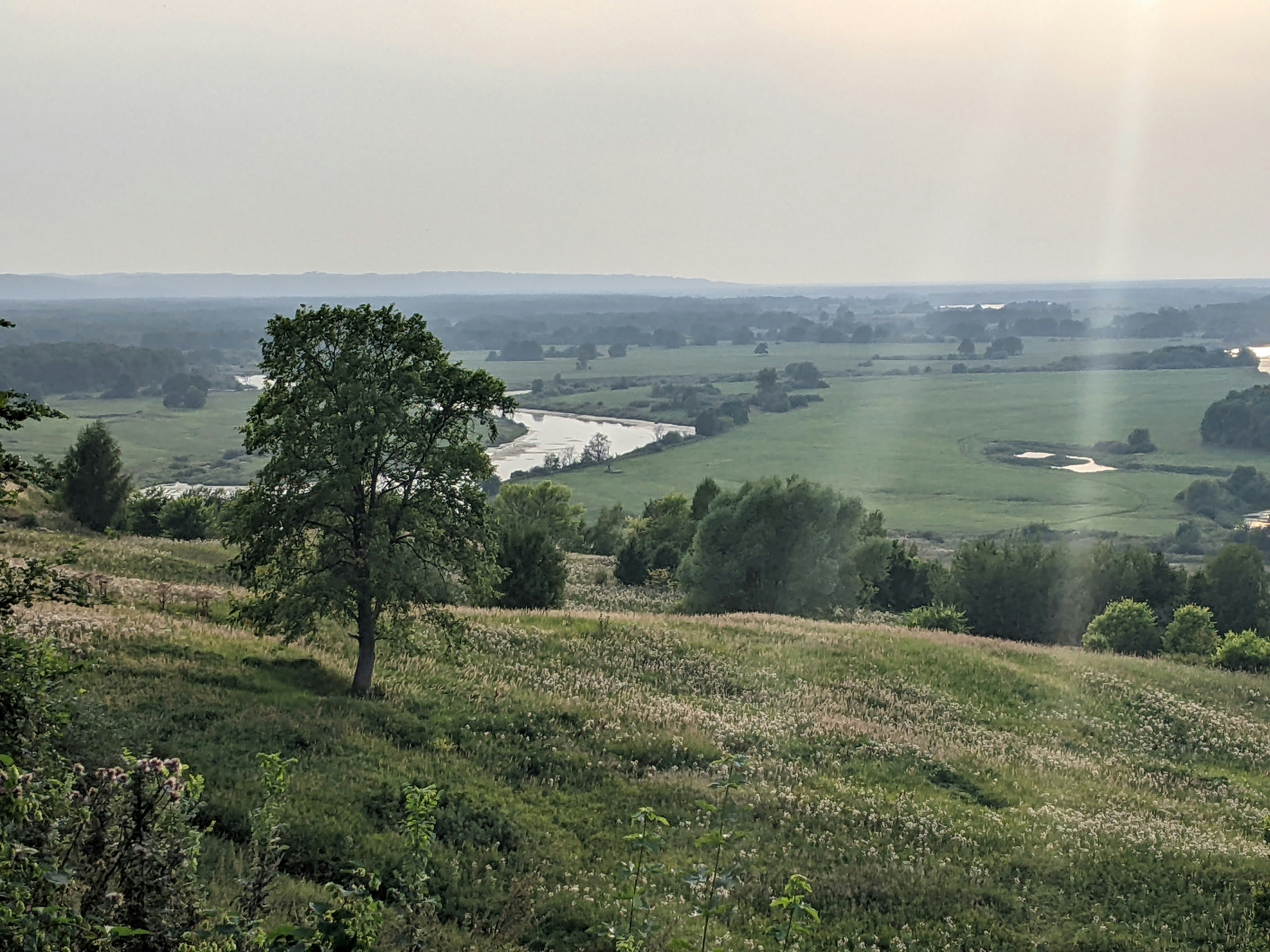 Photo by purpleplumwine