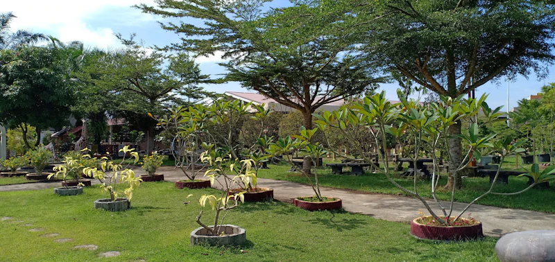 Best Eco-Friendly Resorts and Sustainable Stays in Medan