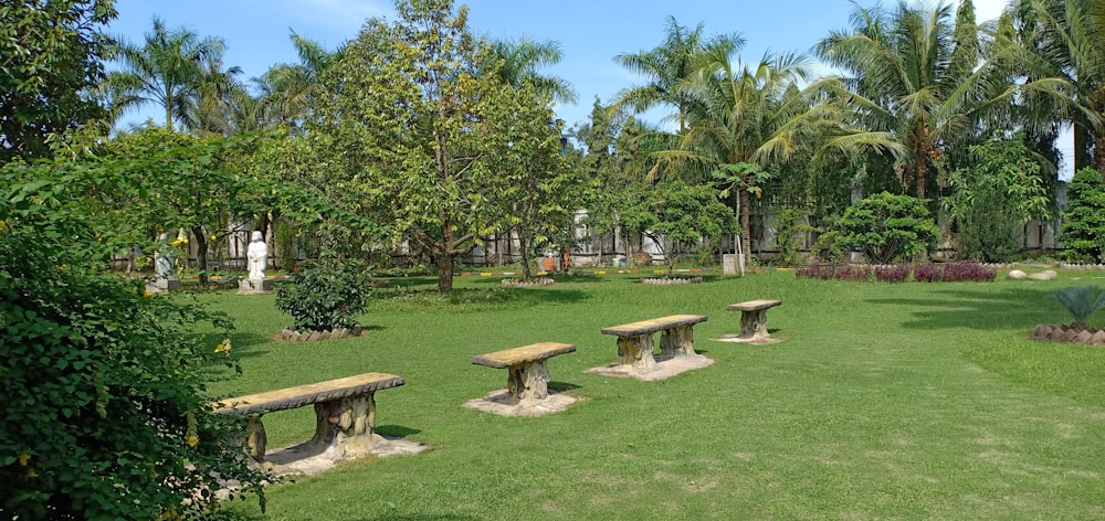 a park with benches and trees