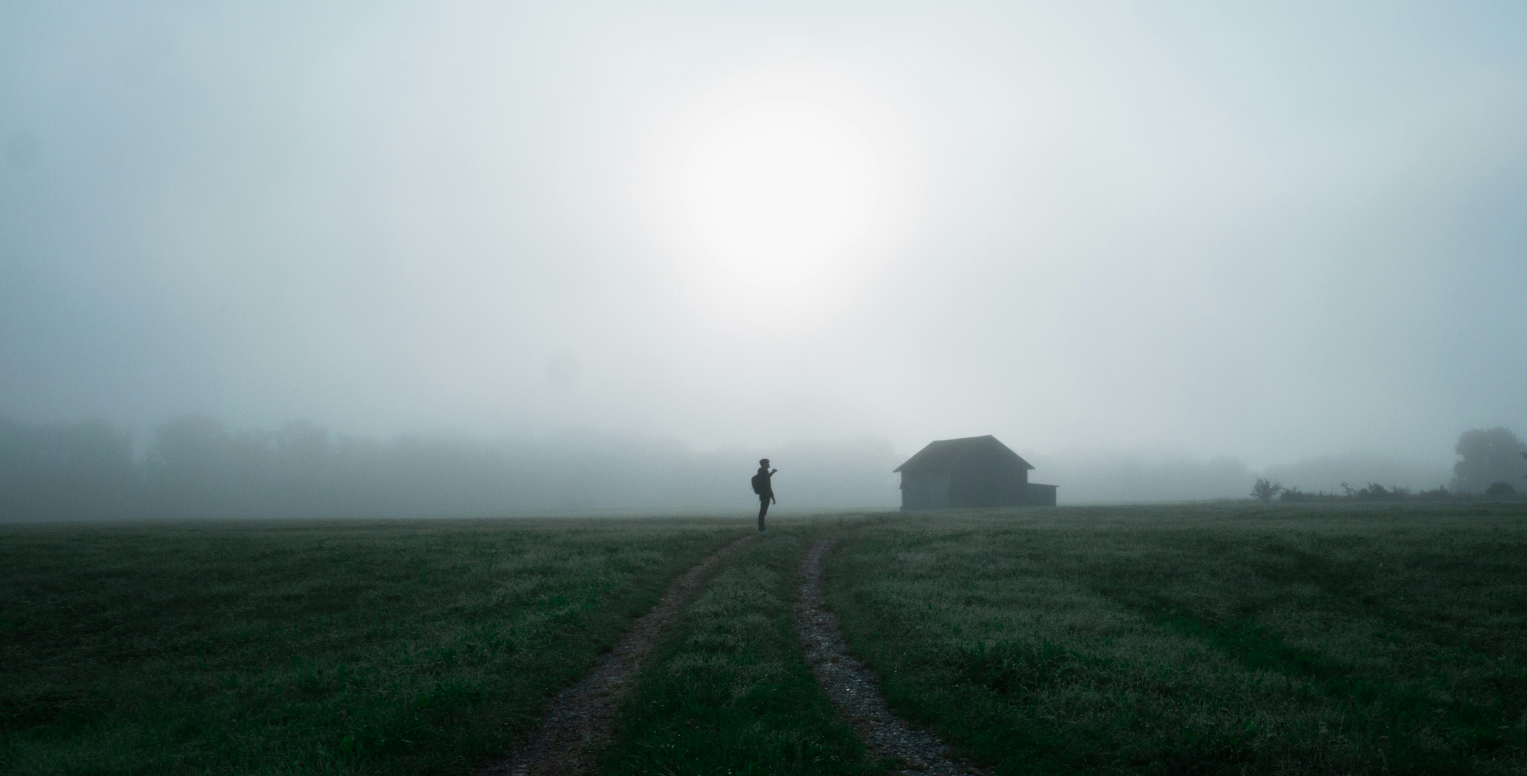 a person walking on a dirt path in a foggy field