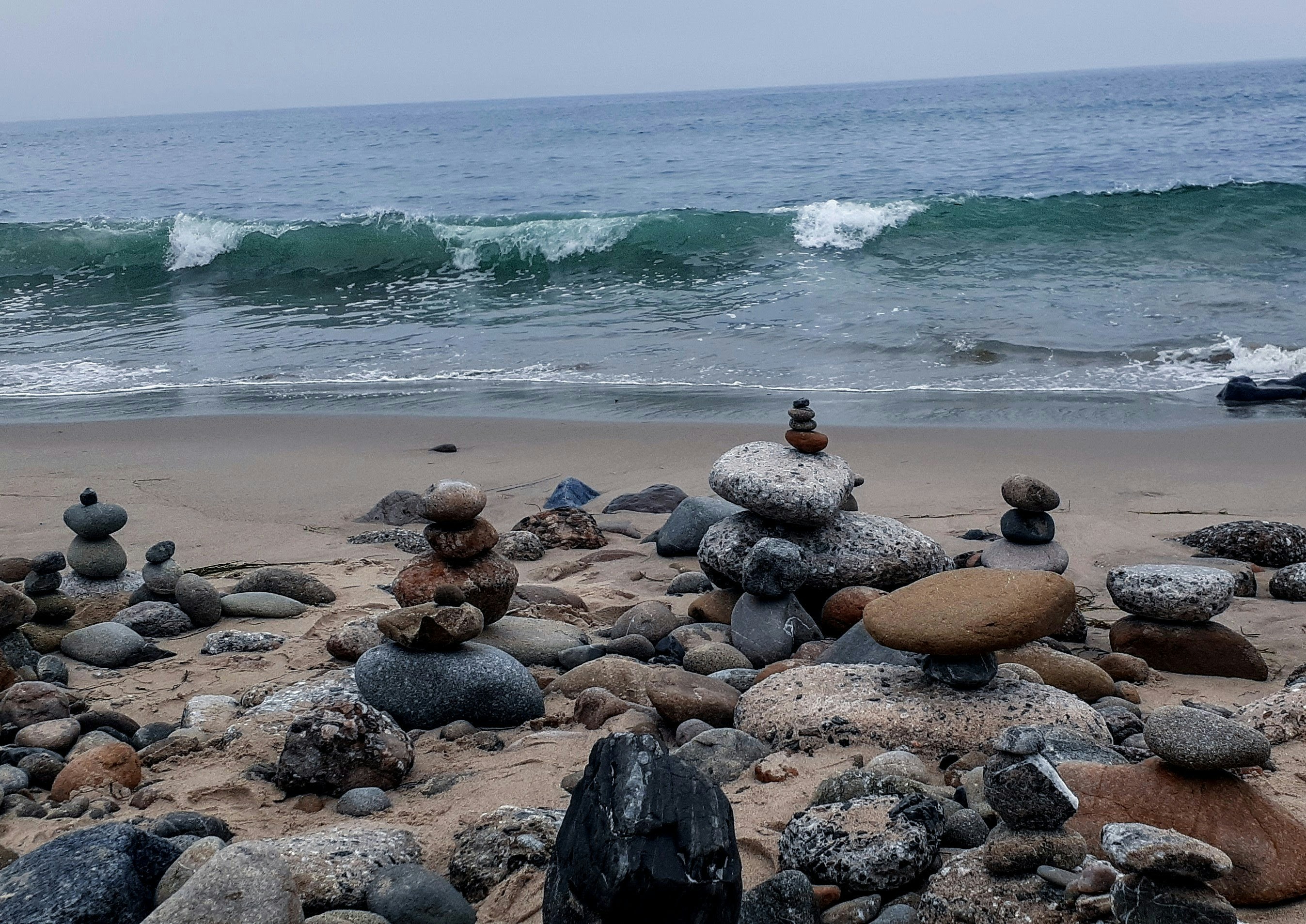 a group of sea turtles on a beach, 