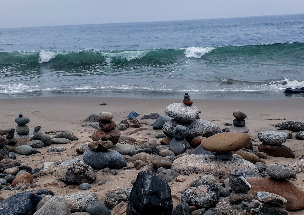 a group of sea turtles on a beach