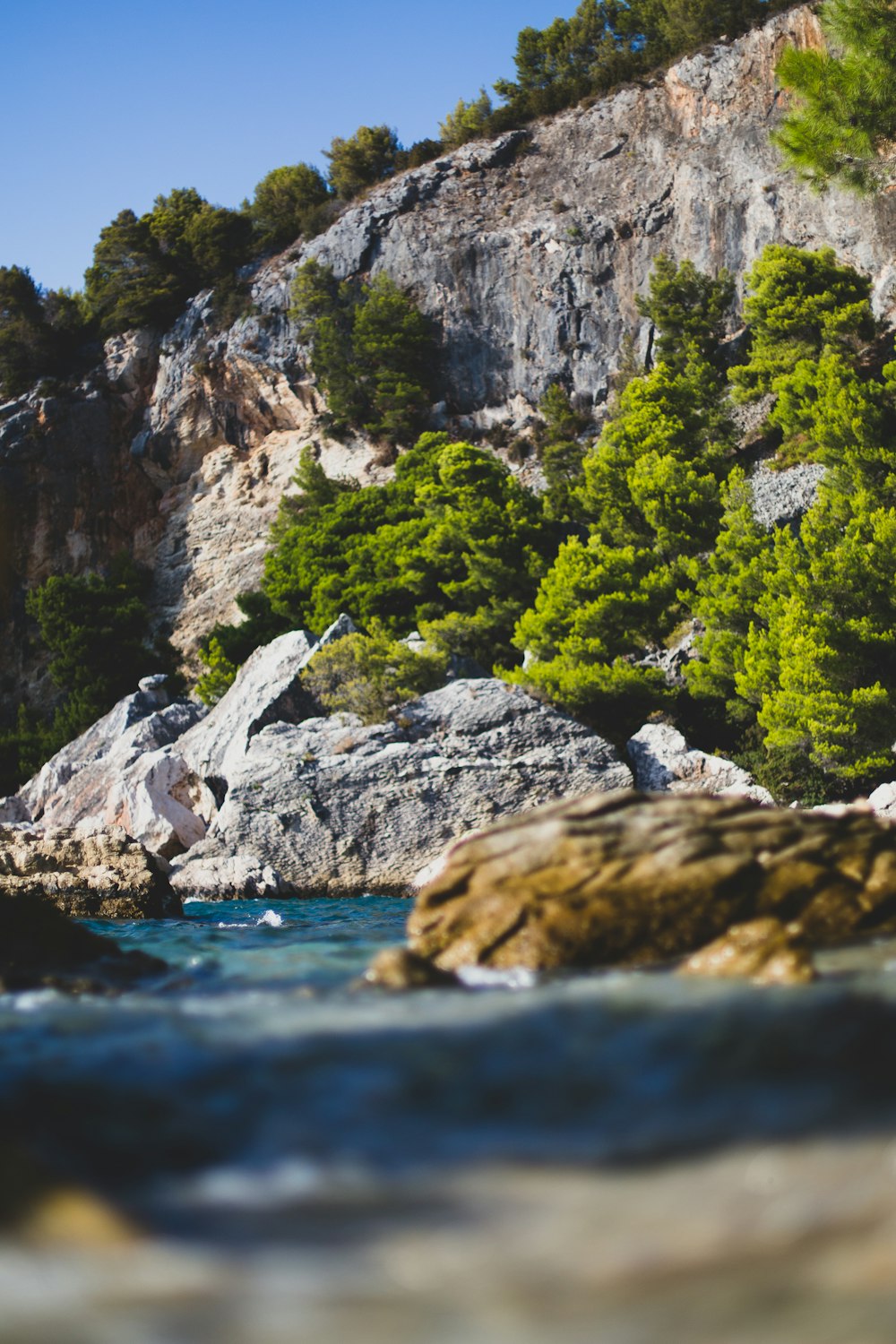 a rocky cliff with trees on it