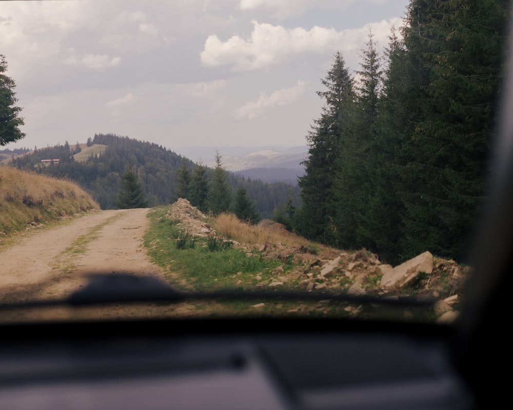 a road with trees on the side