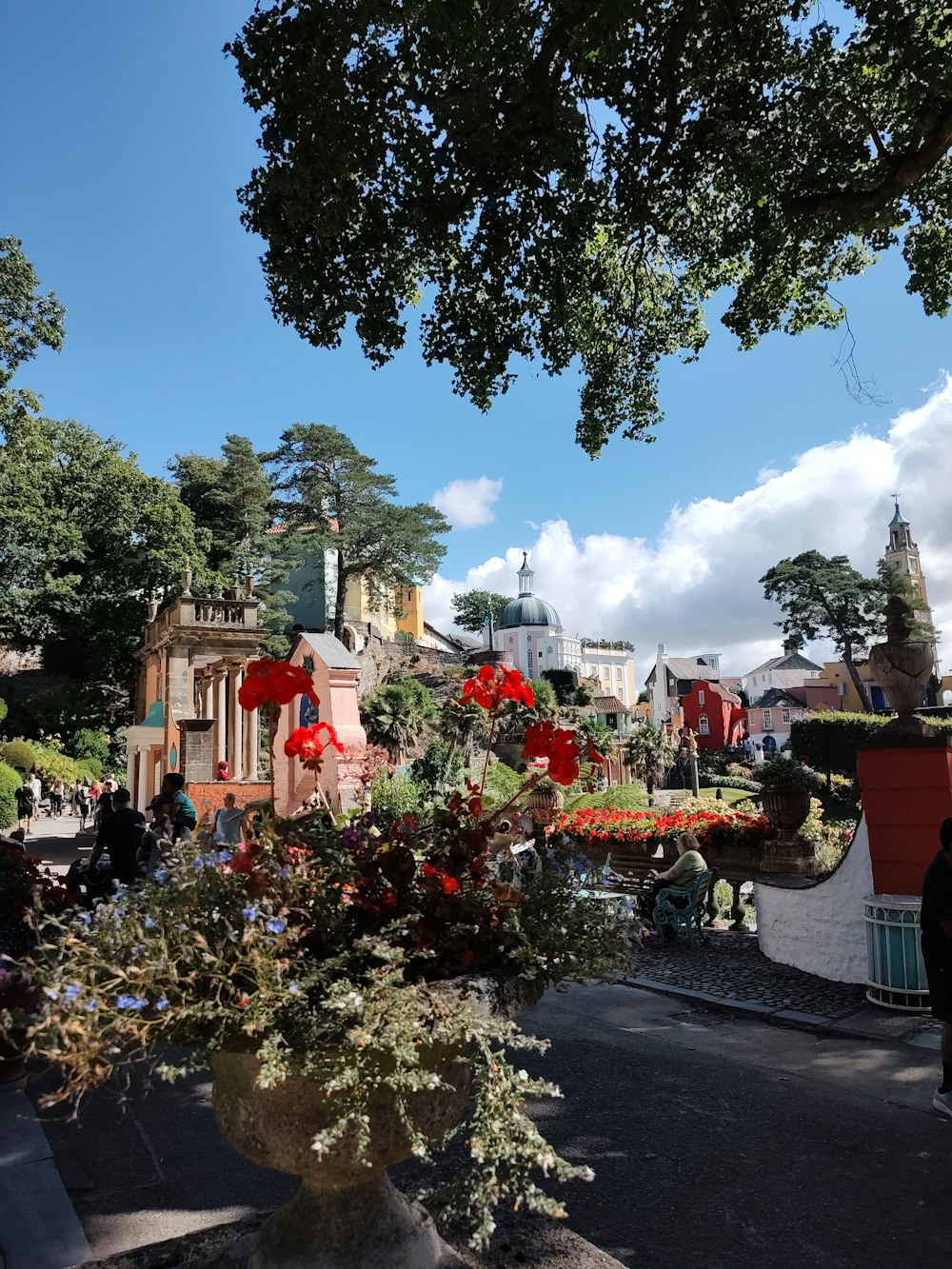 a street with flowers and trees