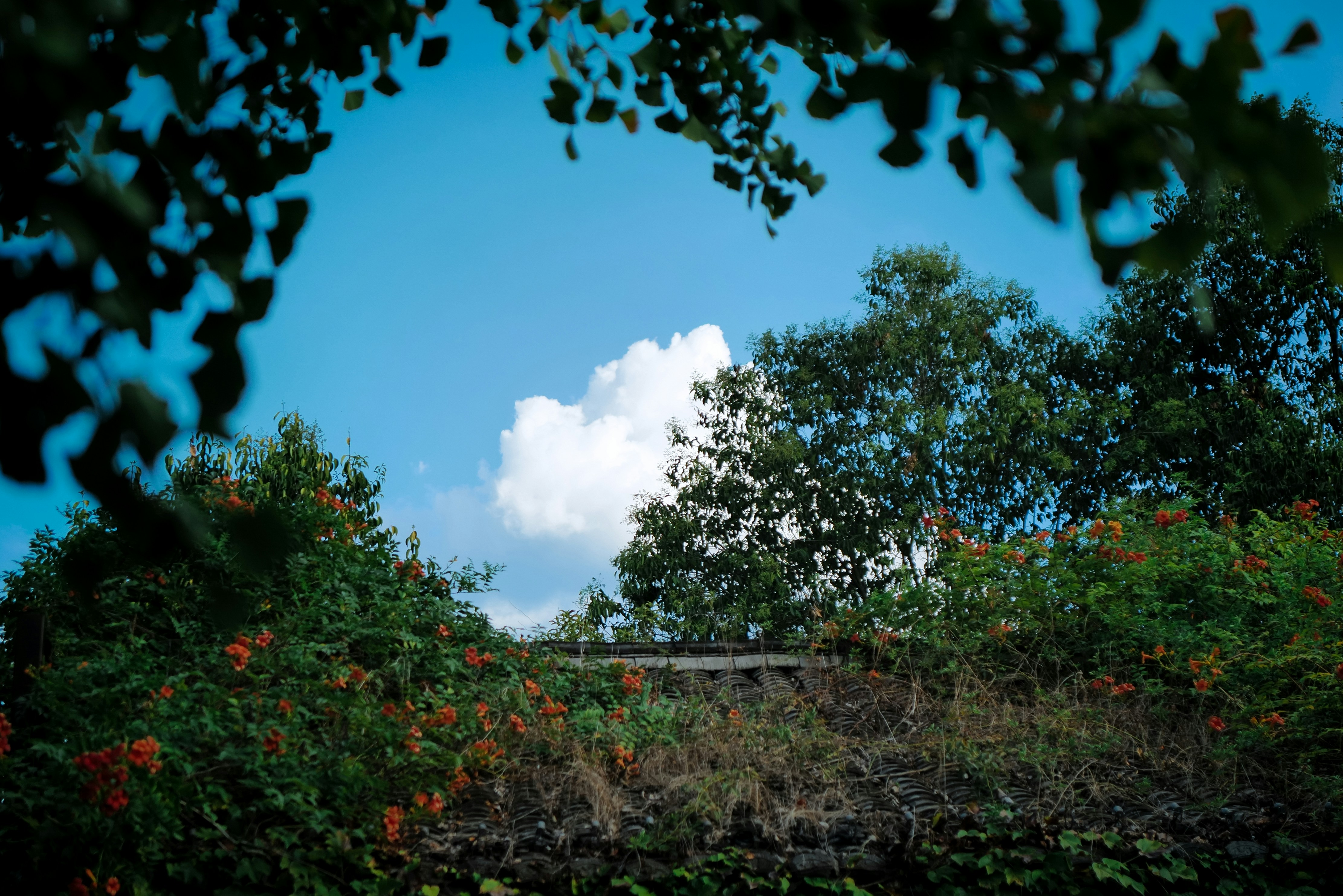 Image by Qihai Weng via Unsplash