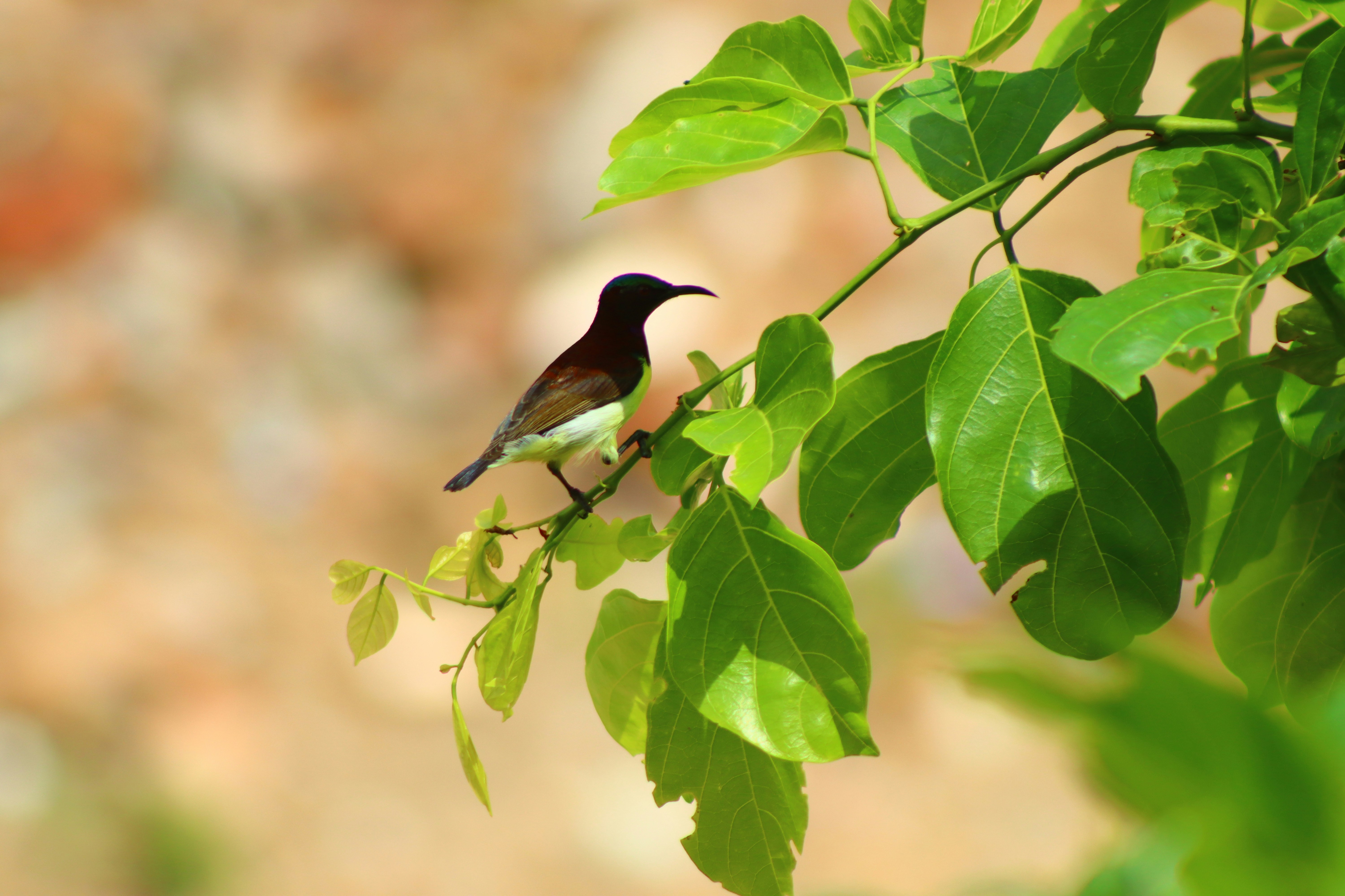 Photo by aj_futography