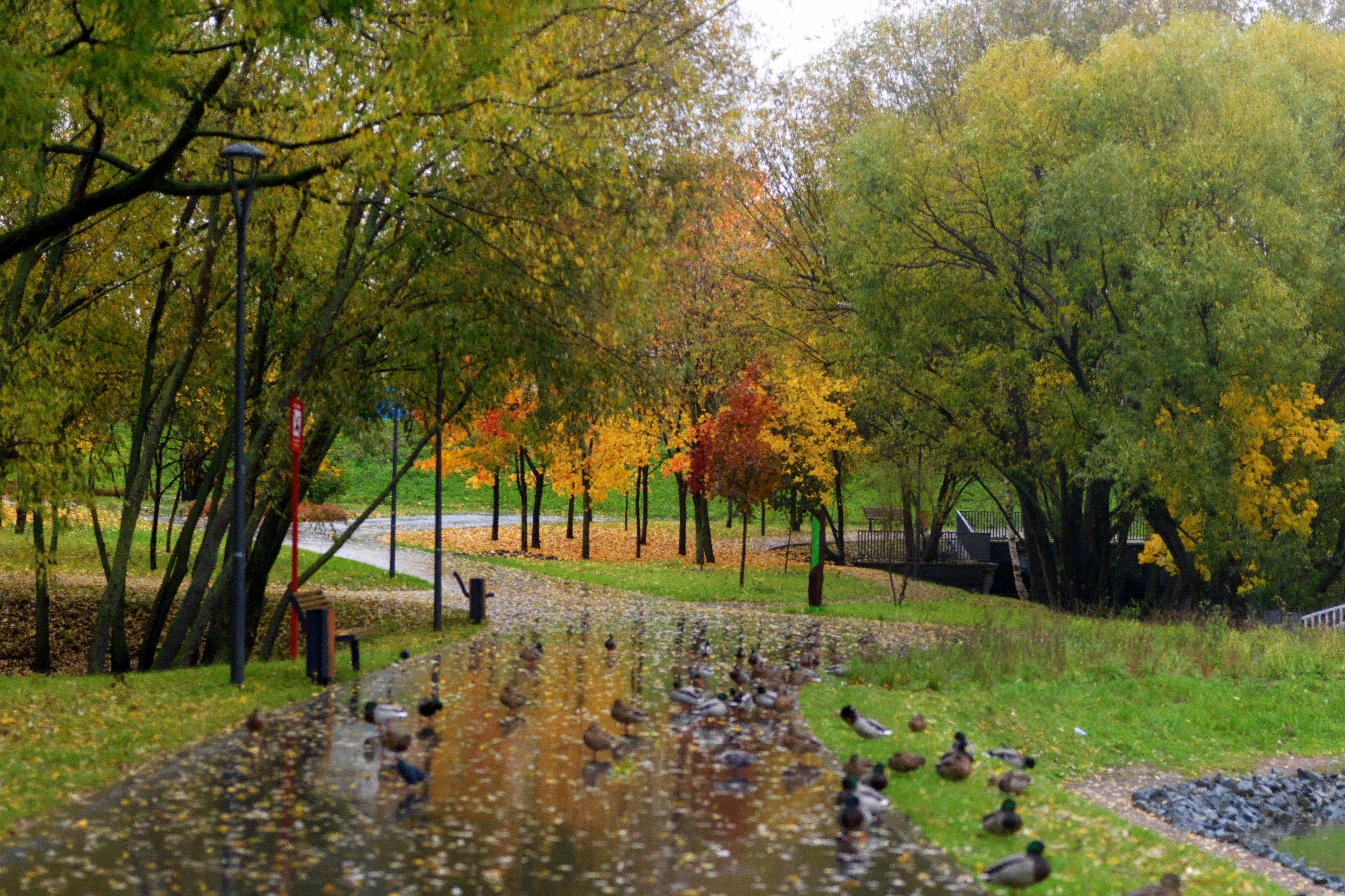 Park Adama Sikory