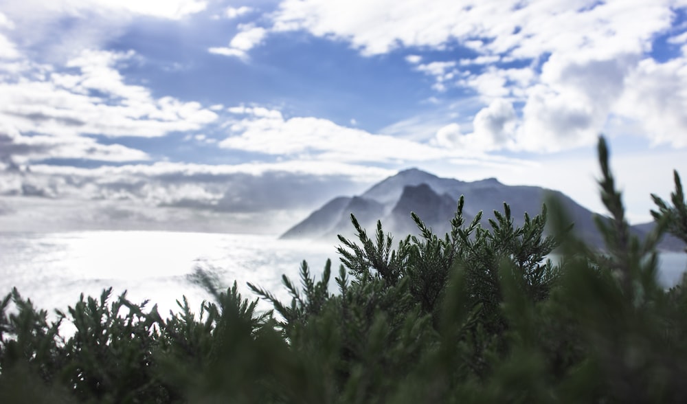 a view of a mountain and clouds