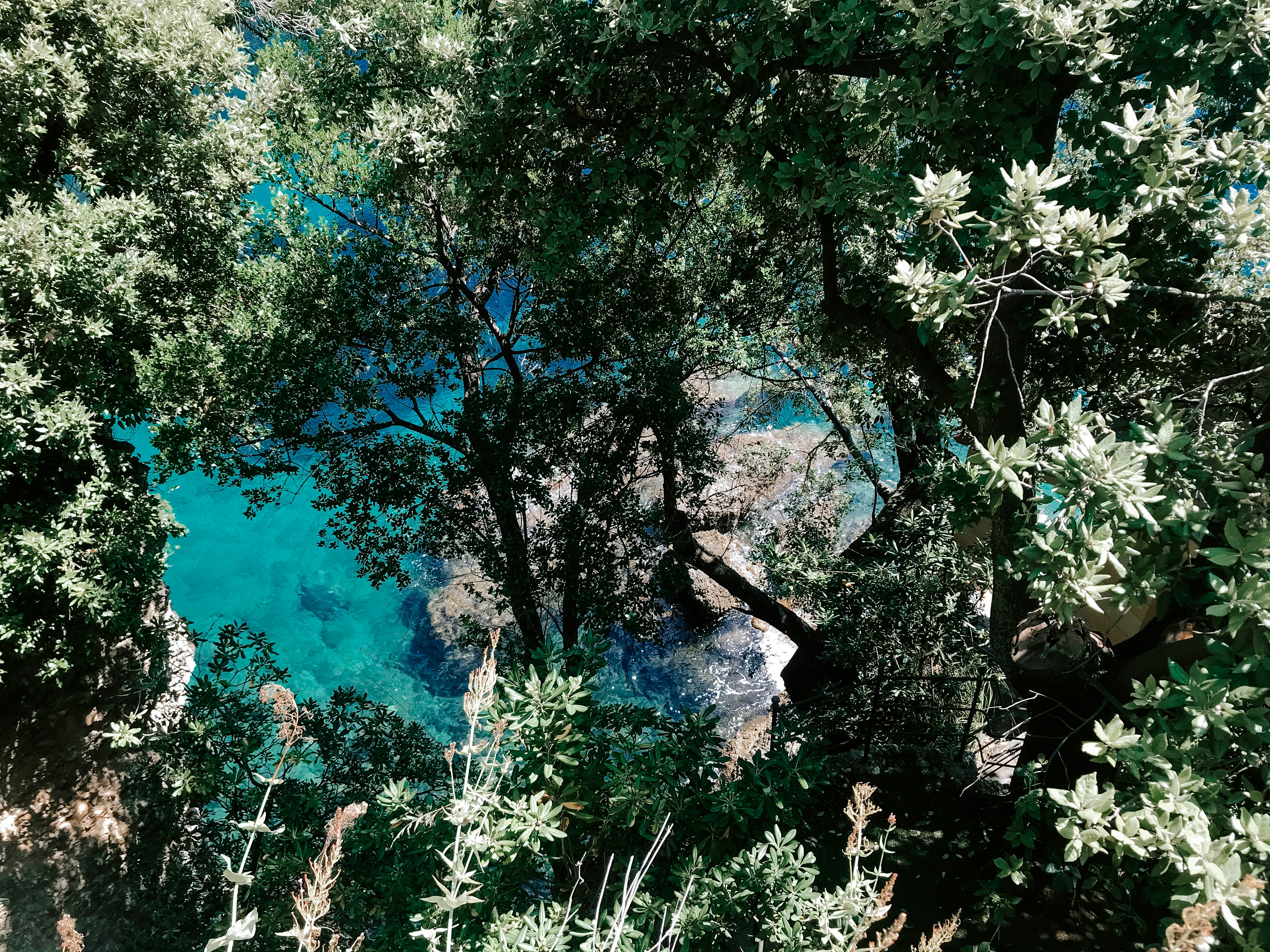 Beach landscapes of Portofino