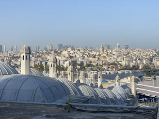 a city skyline with a large dome