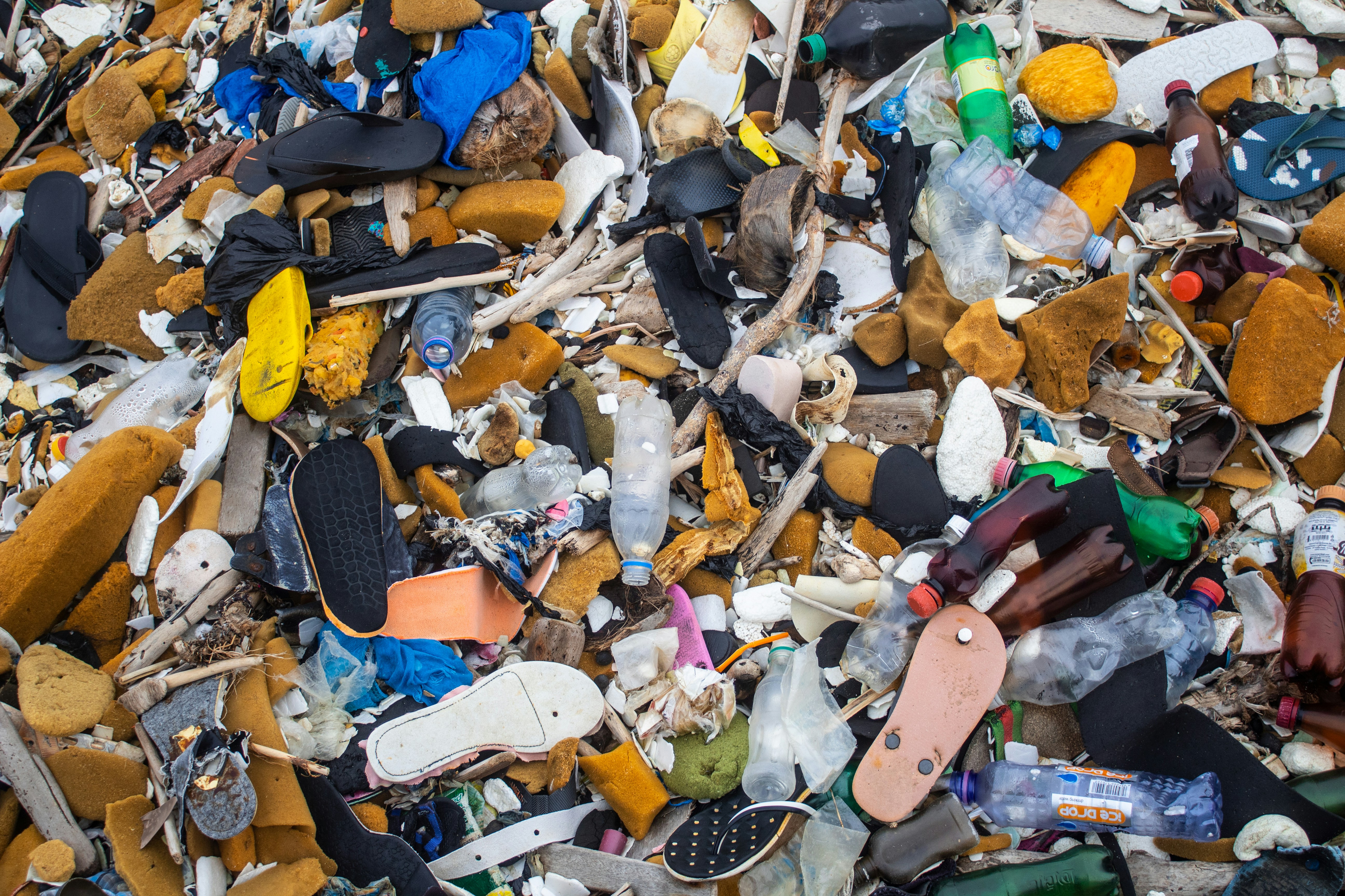 Exploring how the federal move to eliminate single-use plastics reshapes kitchens, suppliers, and mindful dining across the hospitality ecosystem.