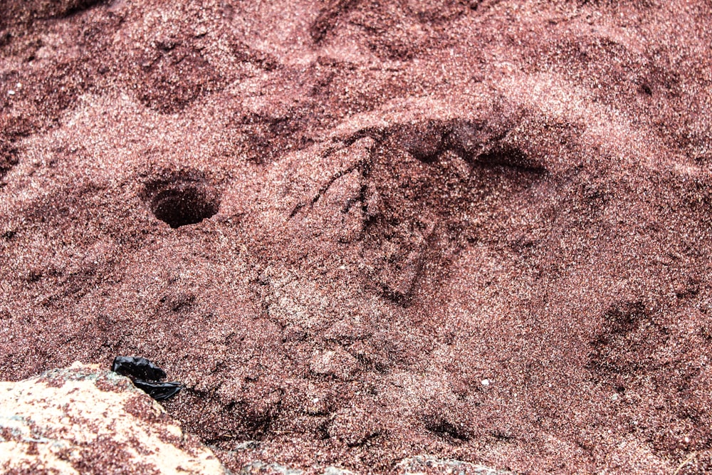 a close up of a rock