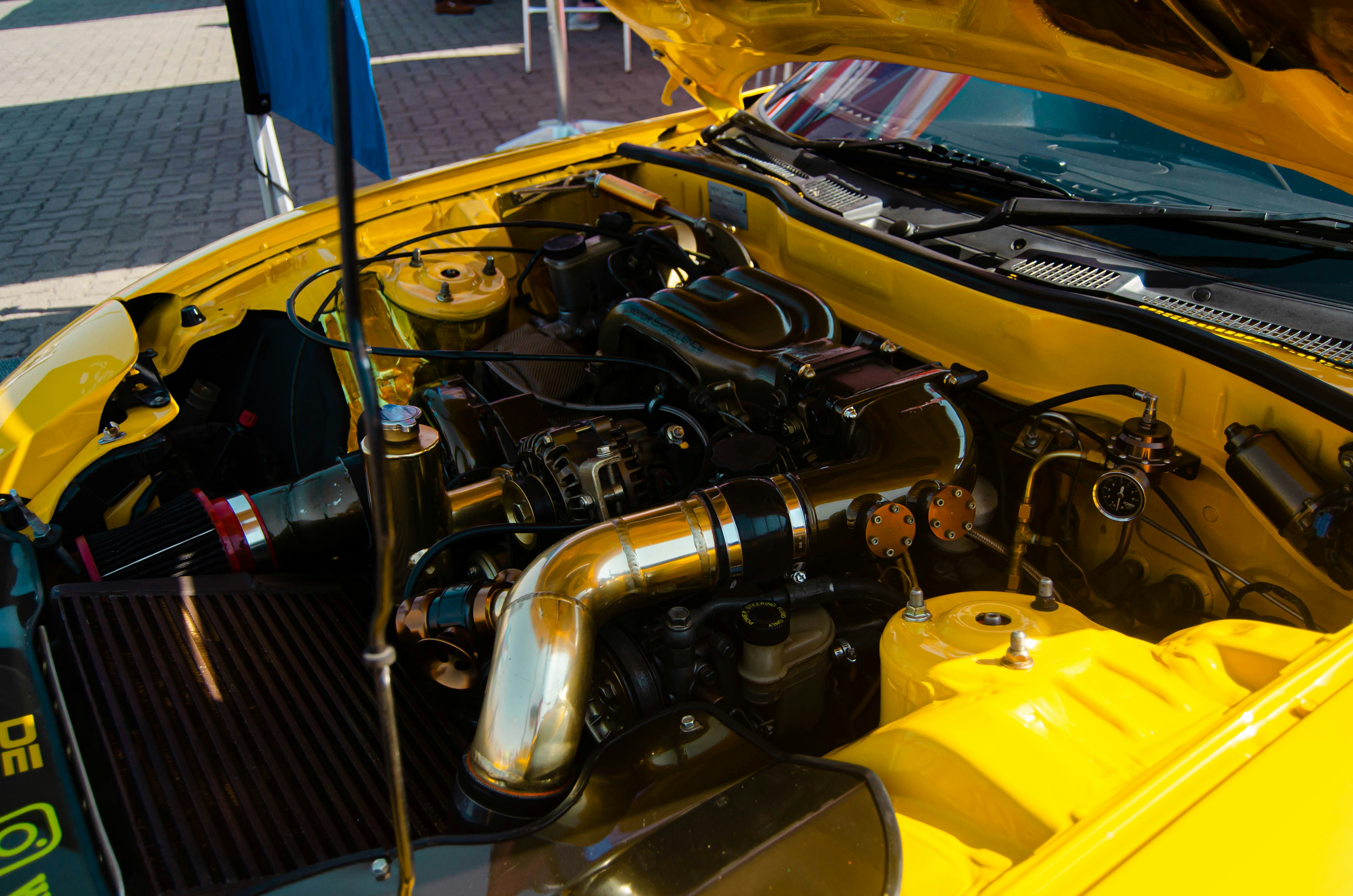 Photo by ryno_marais