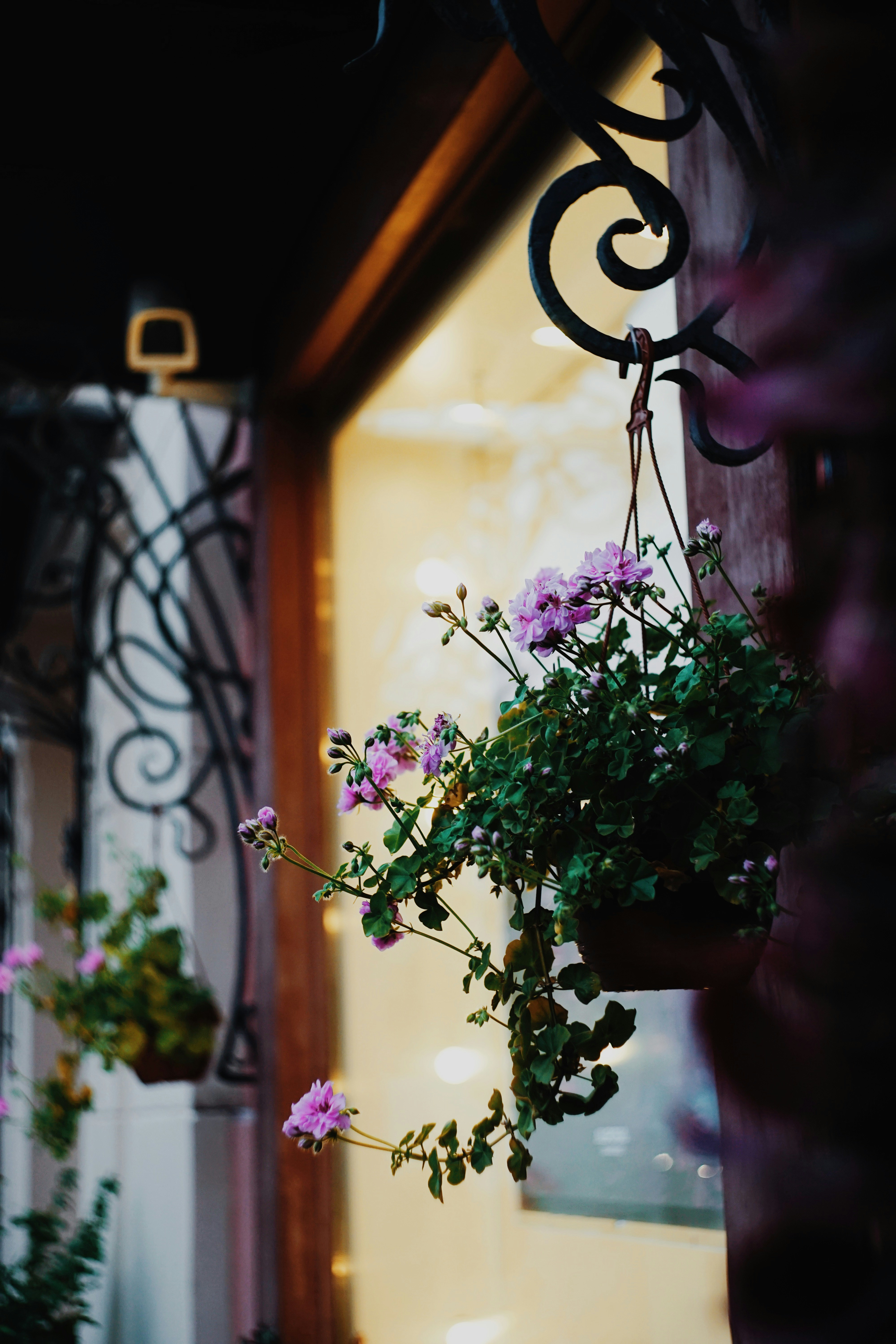 Photo by shklyaevmax