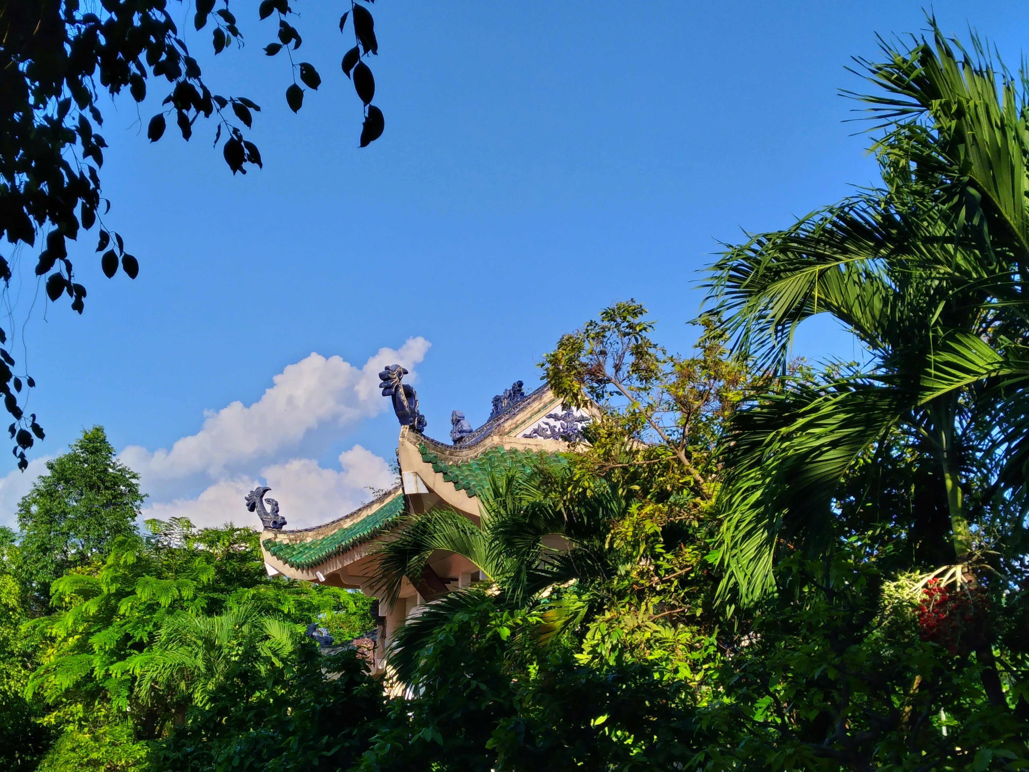 Peter Jackson's King Kong facing off with a dinosaur