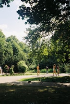 People walk along a sunlit path in a lush, green park surrounded by dense trees and foliage. The area is shaded by overhanging branches, and pigeons are scattered on the grass nearby. The scene appears calm and inviting.