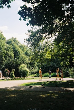 People walk along a sunlit path in a lush, green park surrounded by dense trees and foliage. The area is shaded by overhanging branches, and pigeons are scattered on the grass nearby. The scene appears calm and inviting.