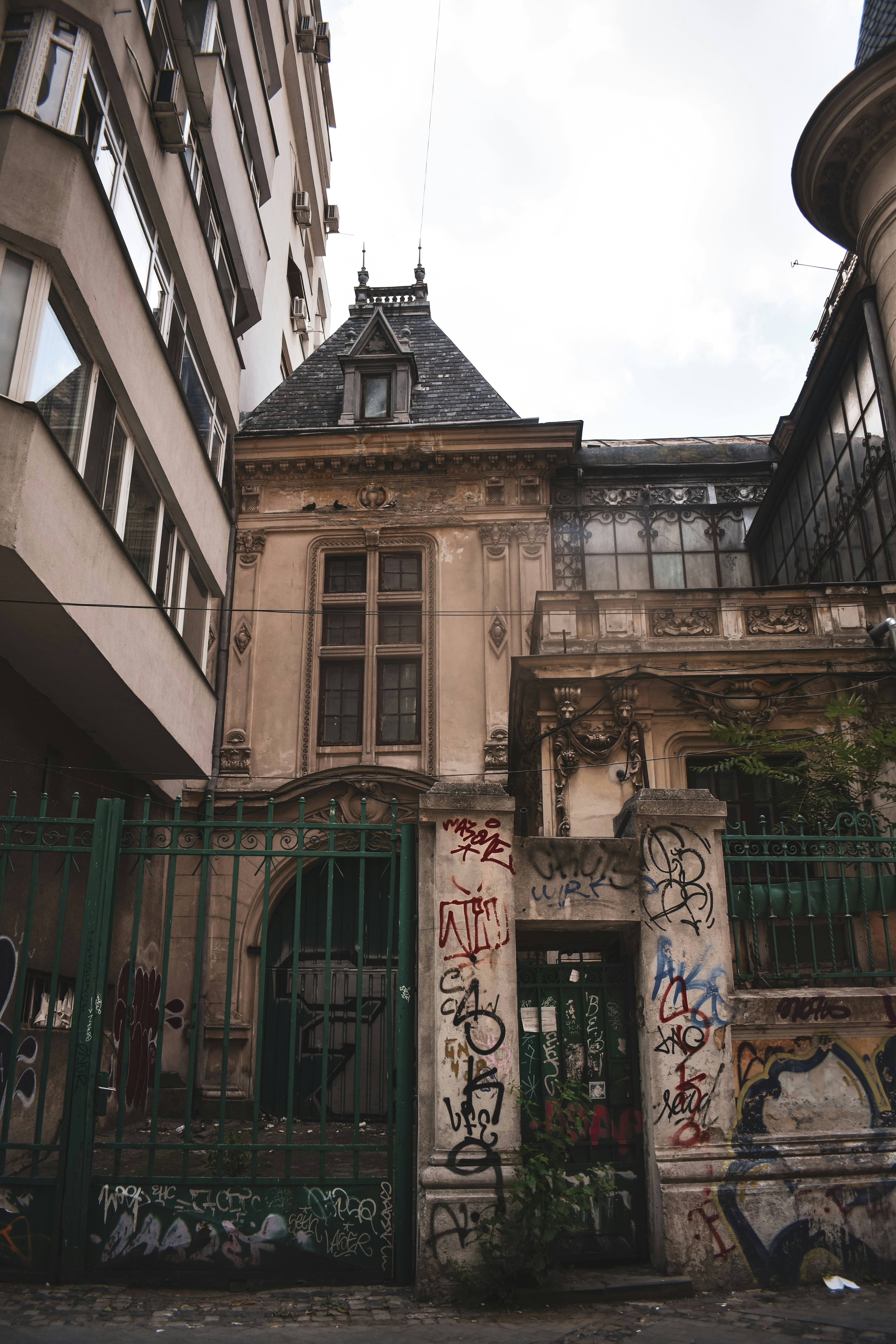 Photo by bianncapatrascu