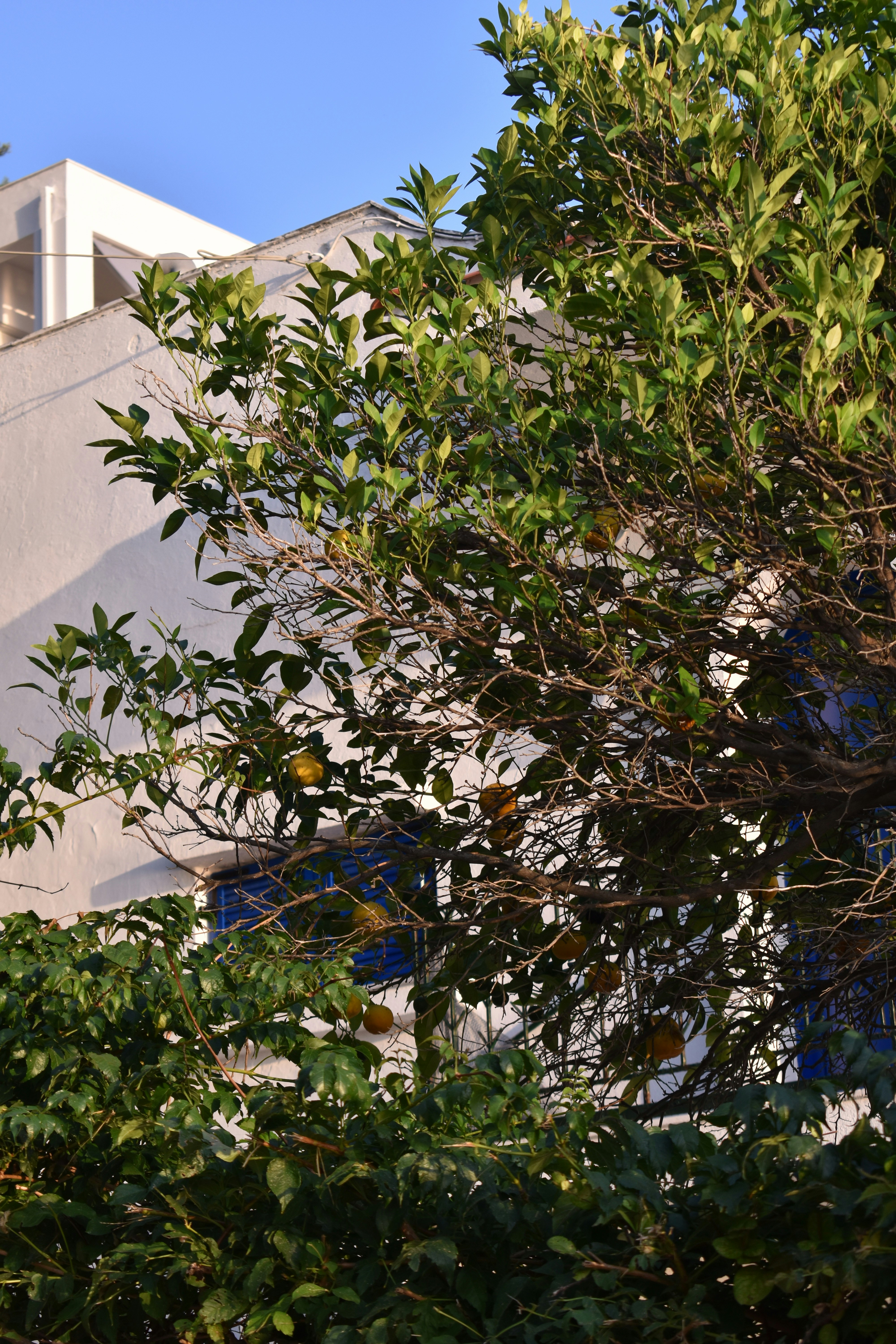 Photo by bianncapatrascu