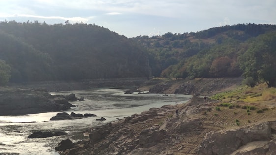A serene river landscape surrounded by lush greenery and trees.