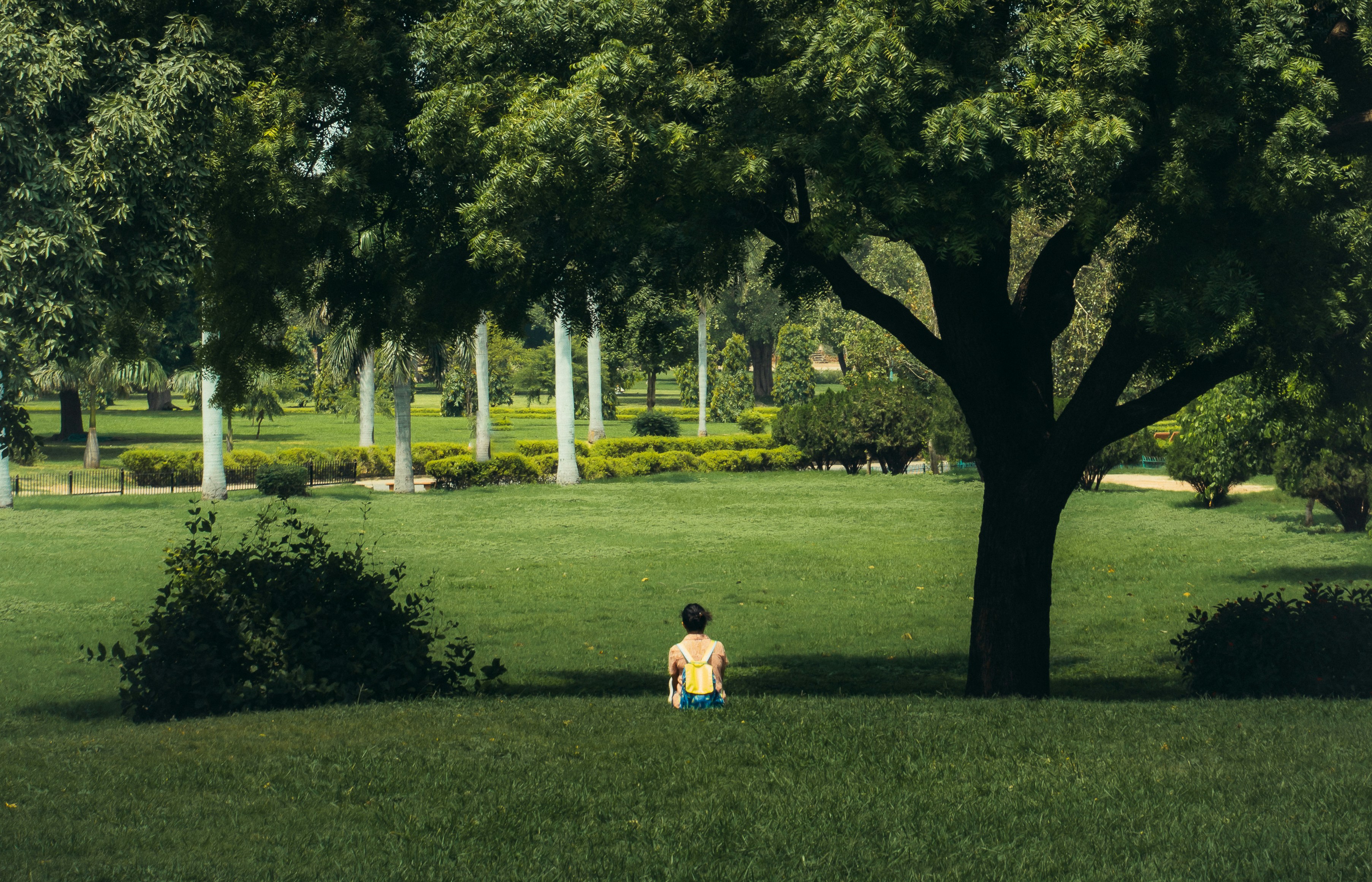 a child sitting in a grassy area