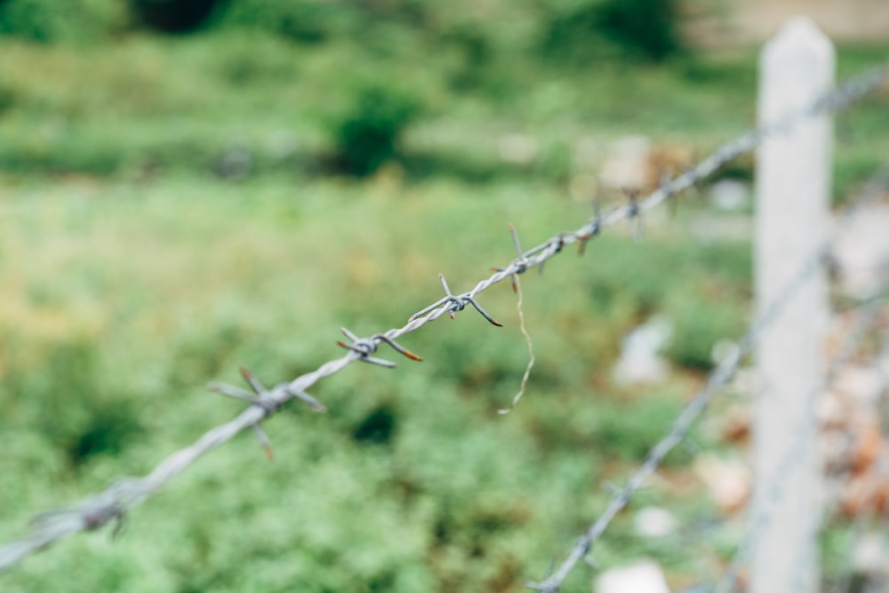 a barbed wire fence