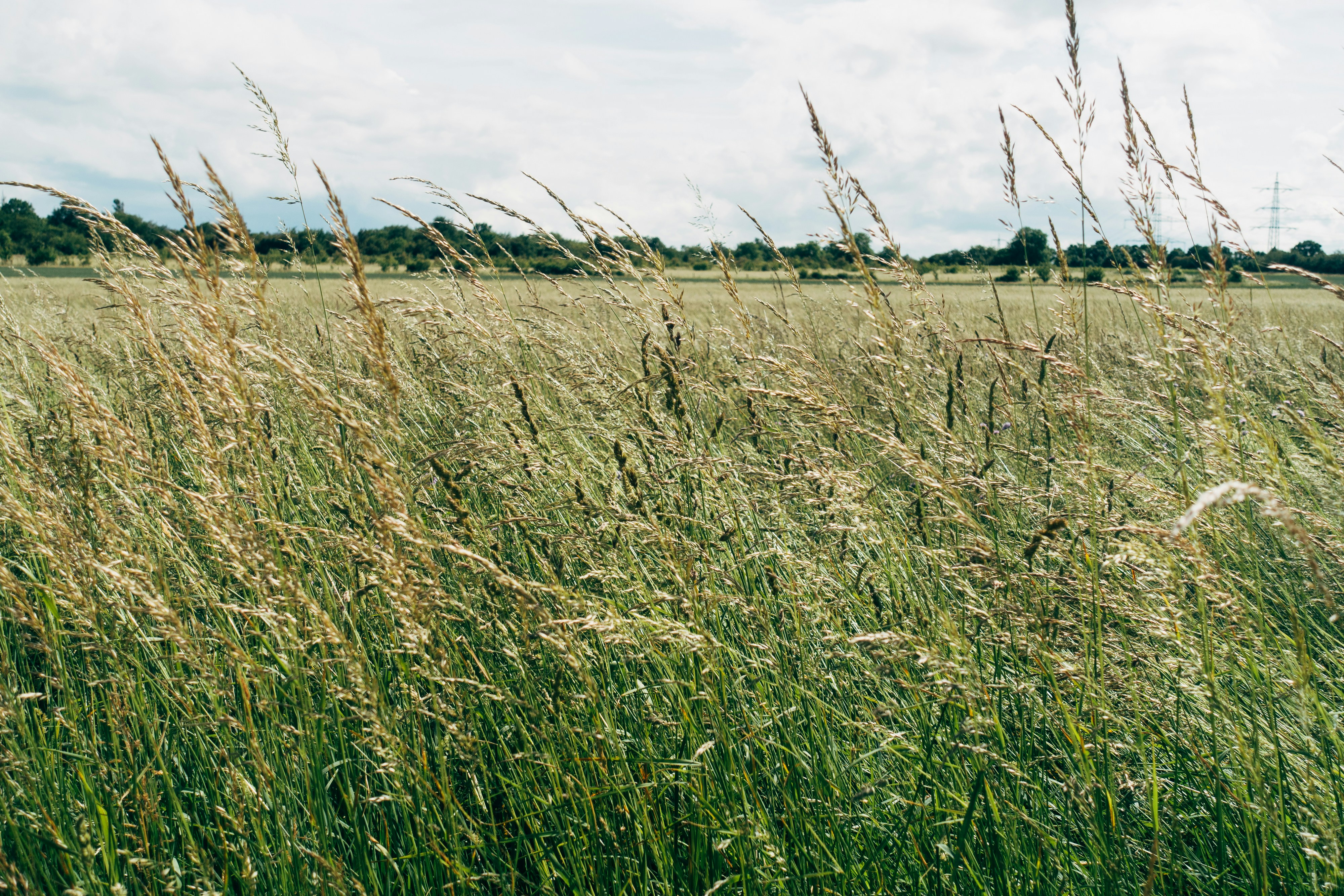 Photo by markuswinkler