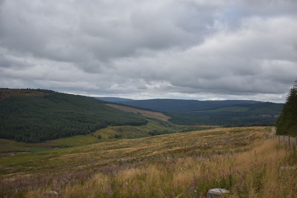 a grassy hill with trees and hills in the background