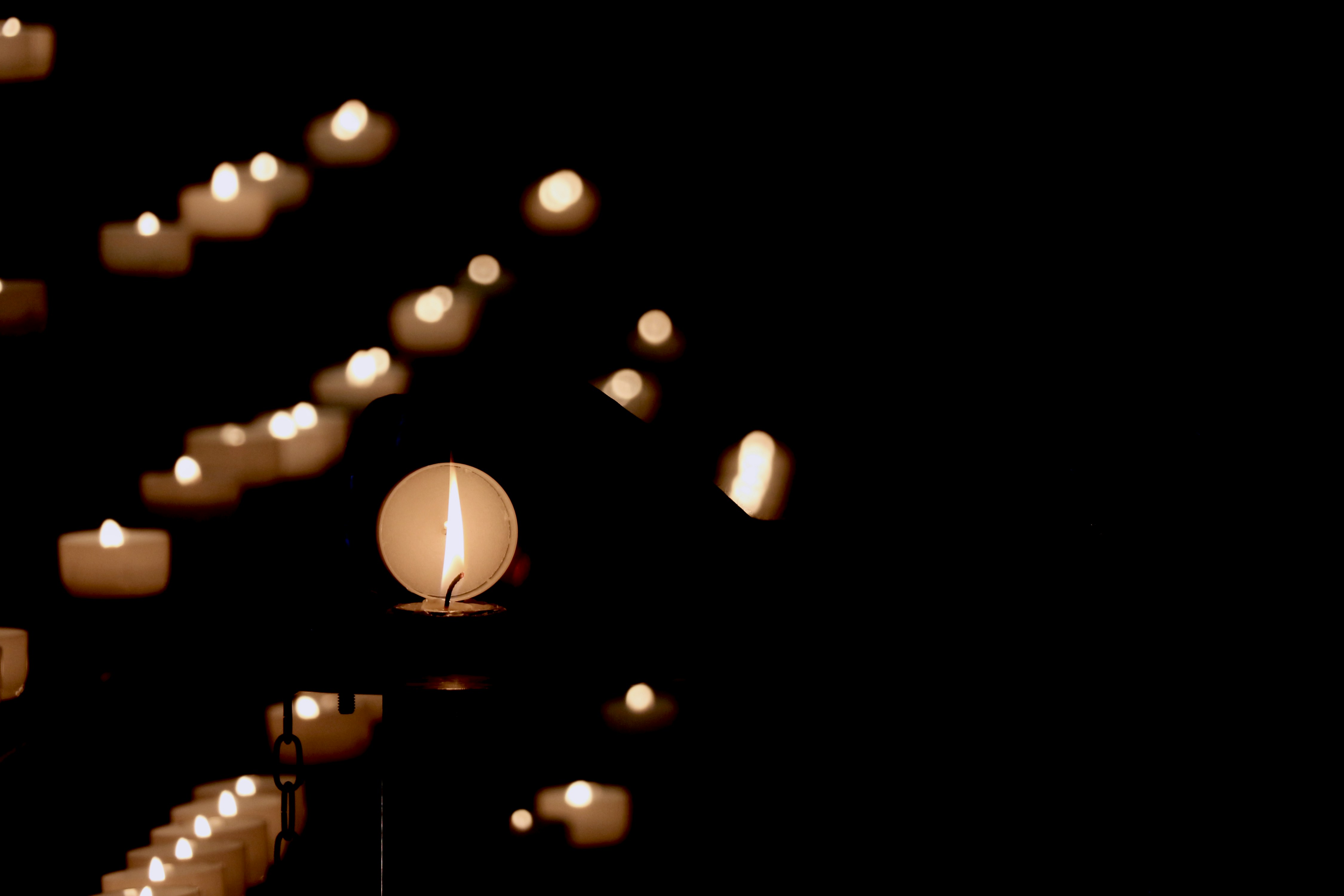 Photo by soroushzargar