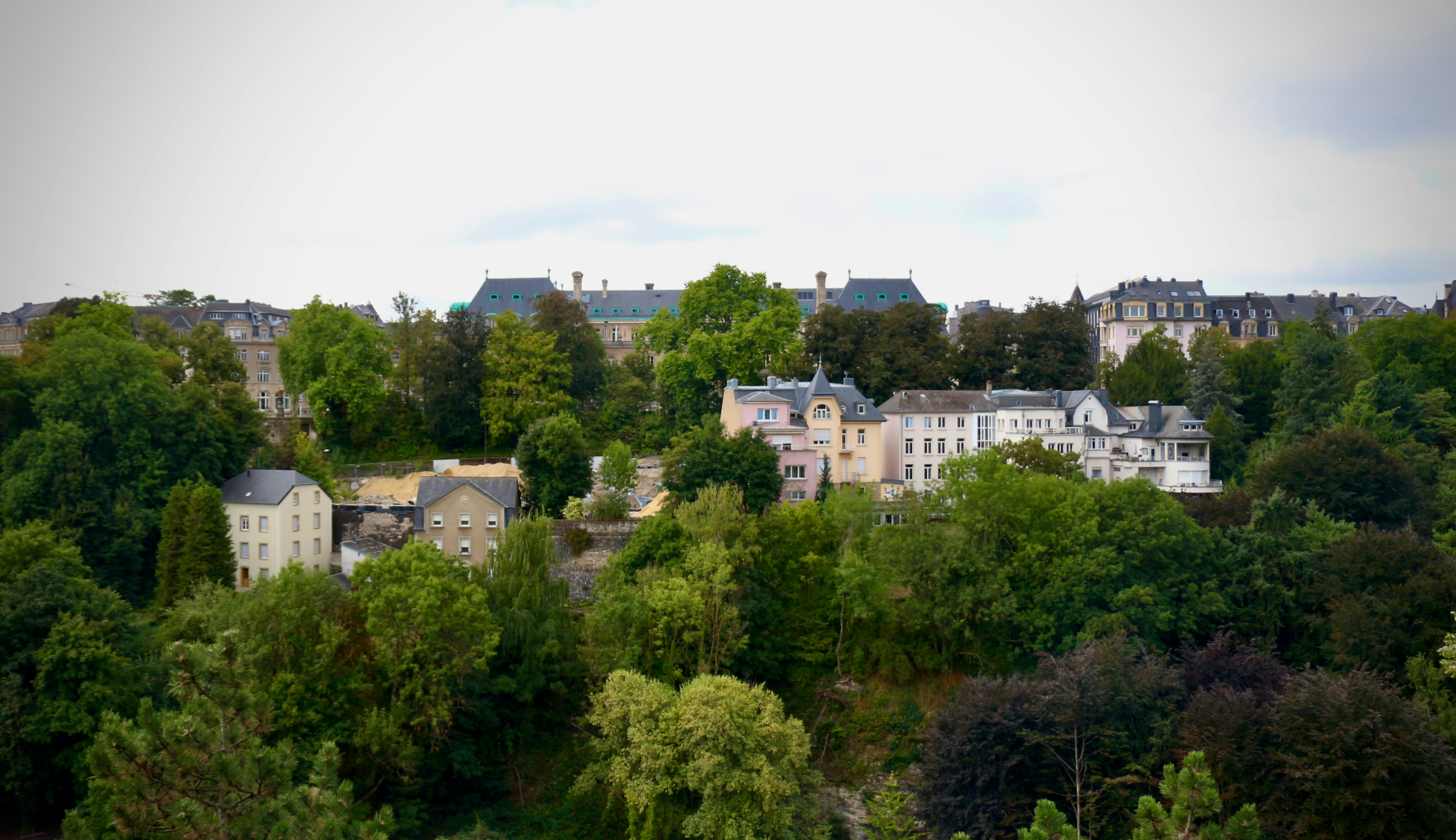 Photo by soroushzargar