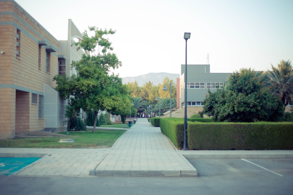 a courtyard with a few buildings and trees