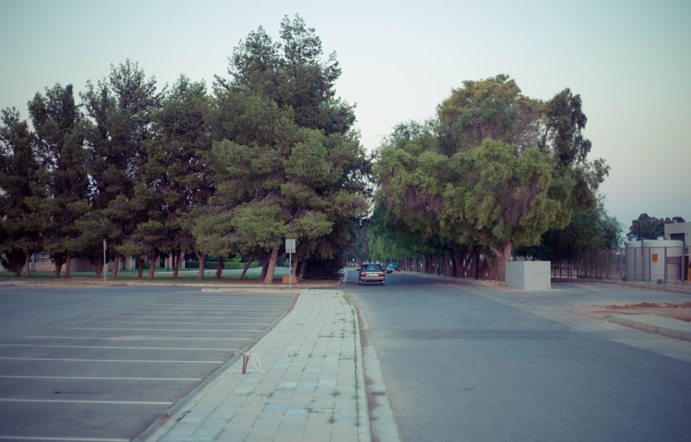 a road with trees on the side