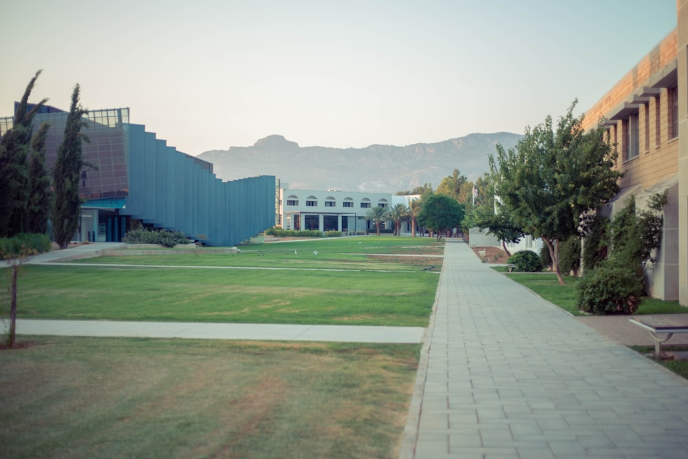 a courtyard with a building and trees